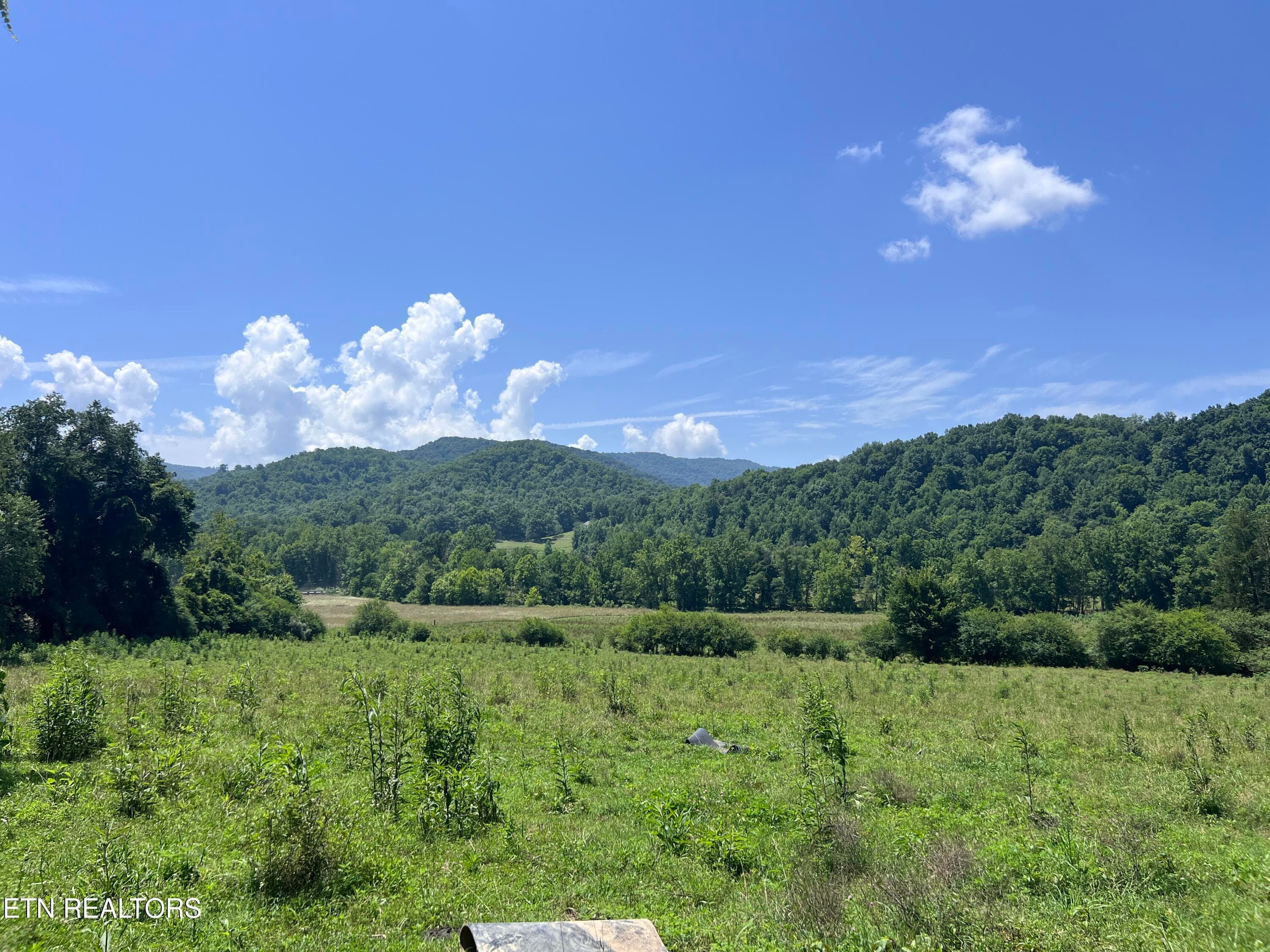 IMG_6273 - 0 Brimstone Rd, Robbins, TN 37852