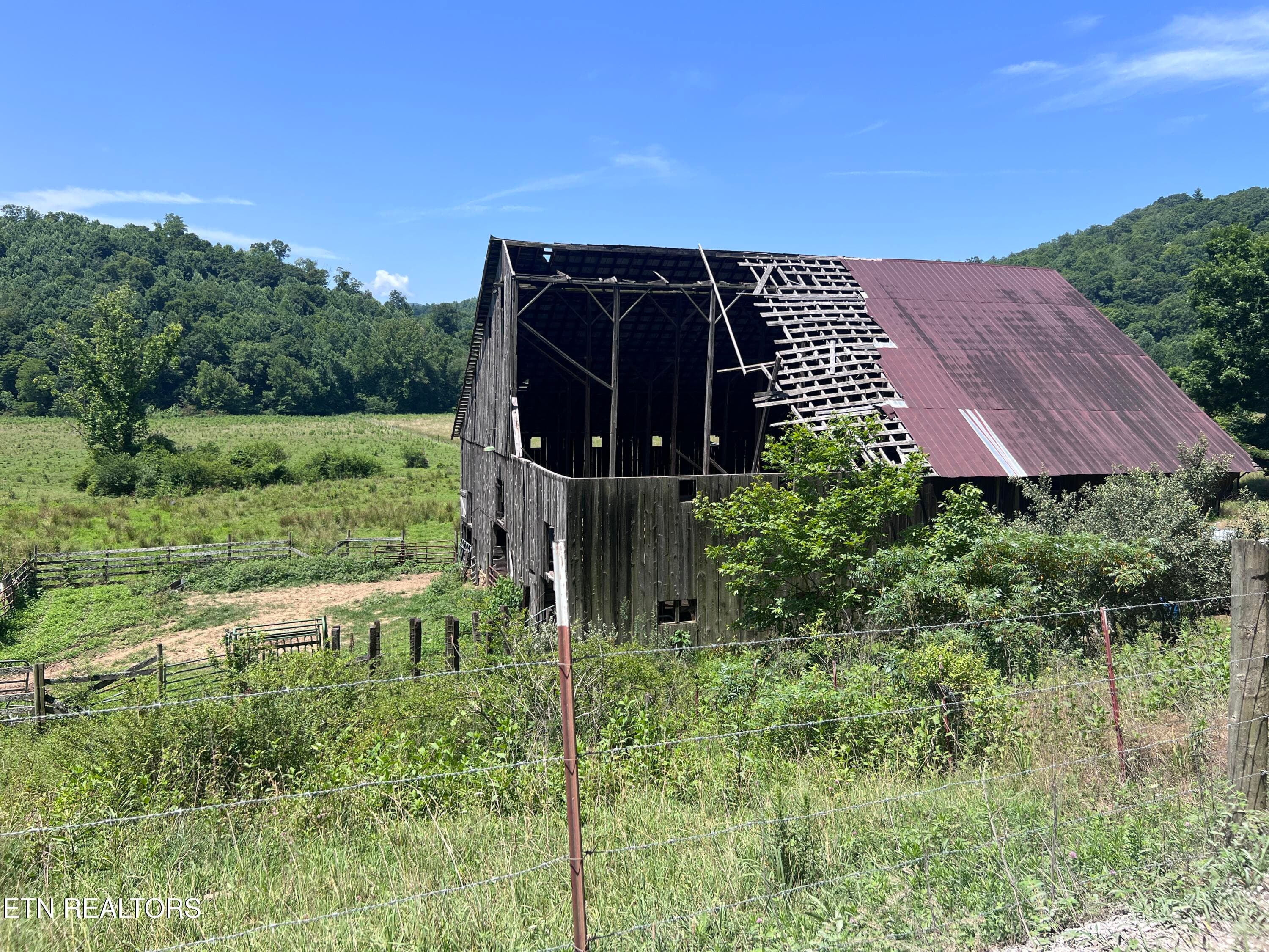IMG_6270 - 0 Brimstone Rd, Robbins, TN 37852