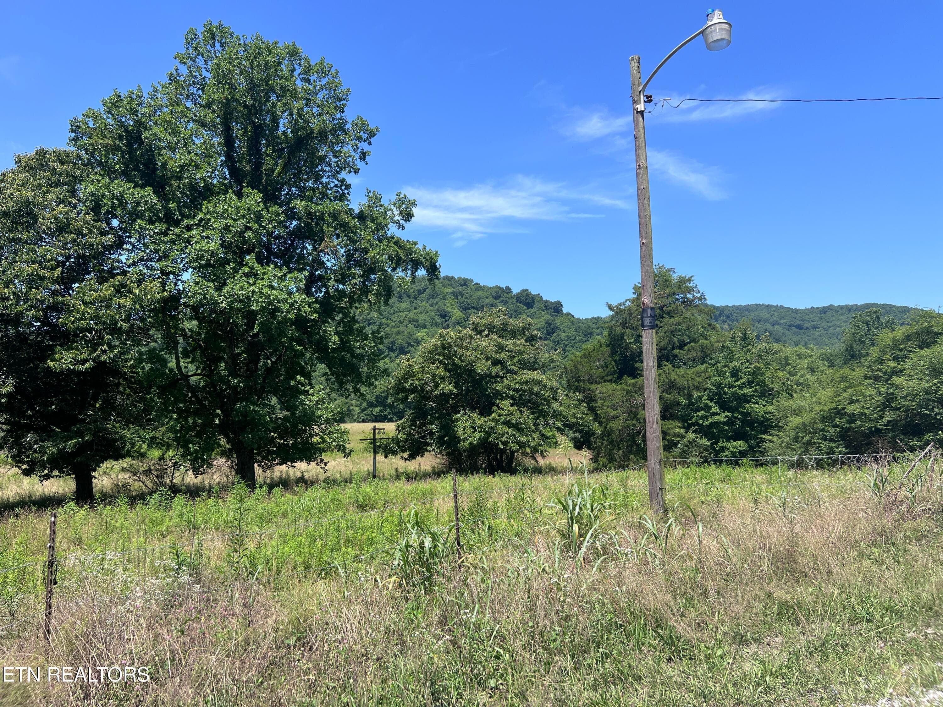 IMG_6269 - 0 Brimstone Rd, Robbins, TN 37852