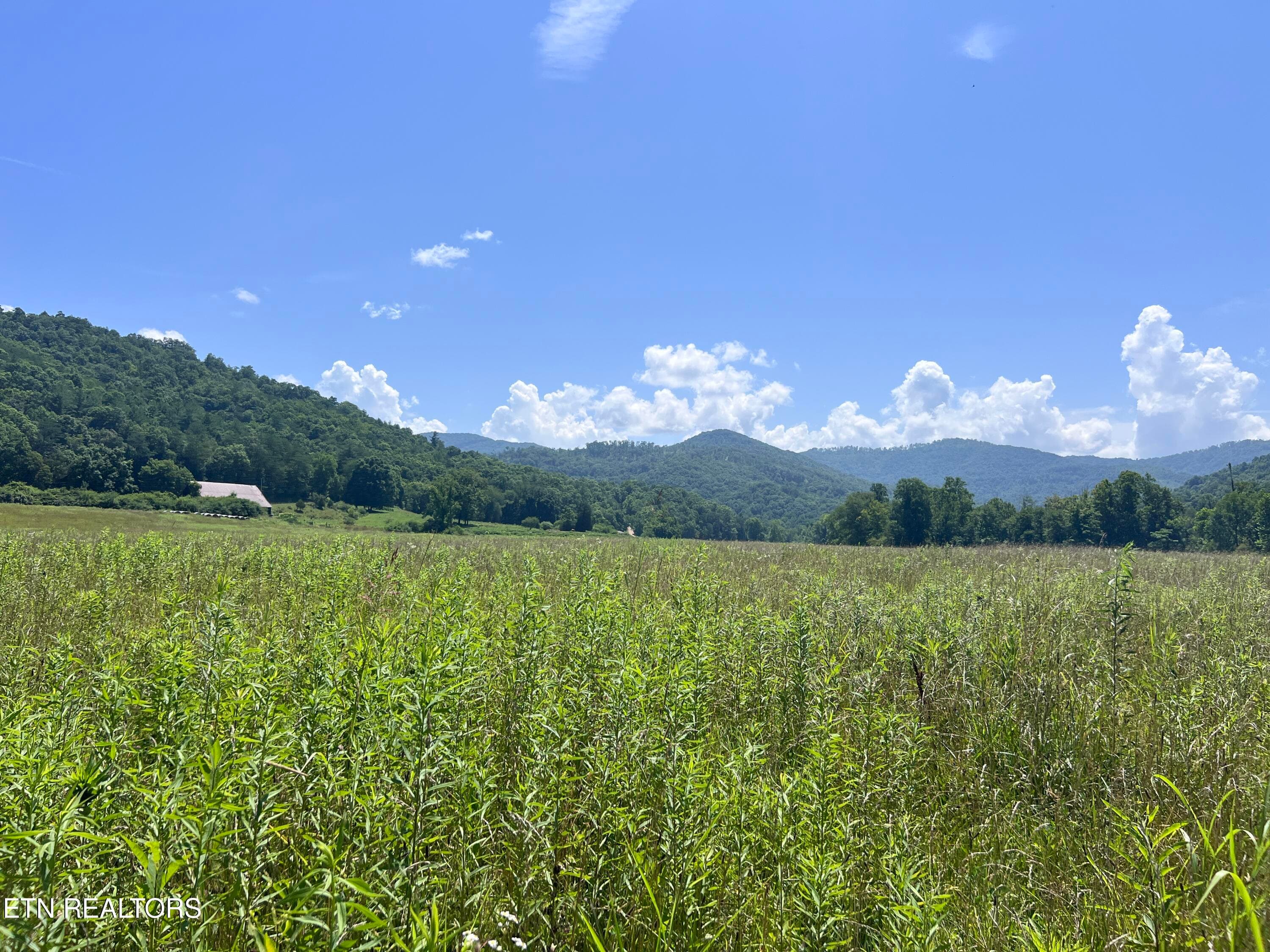 IMG_6266 - 0 Brimstone Rd, Robbins, TN 37852