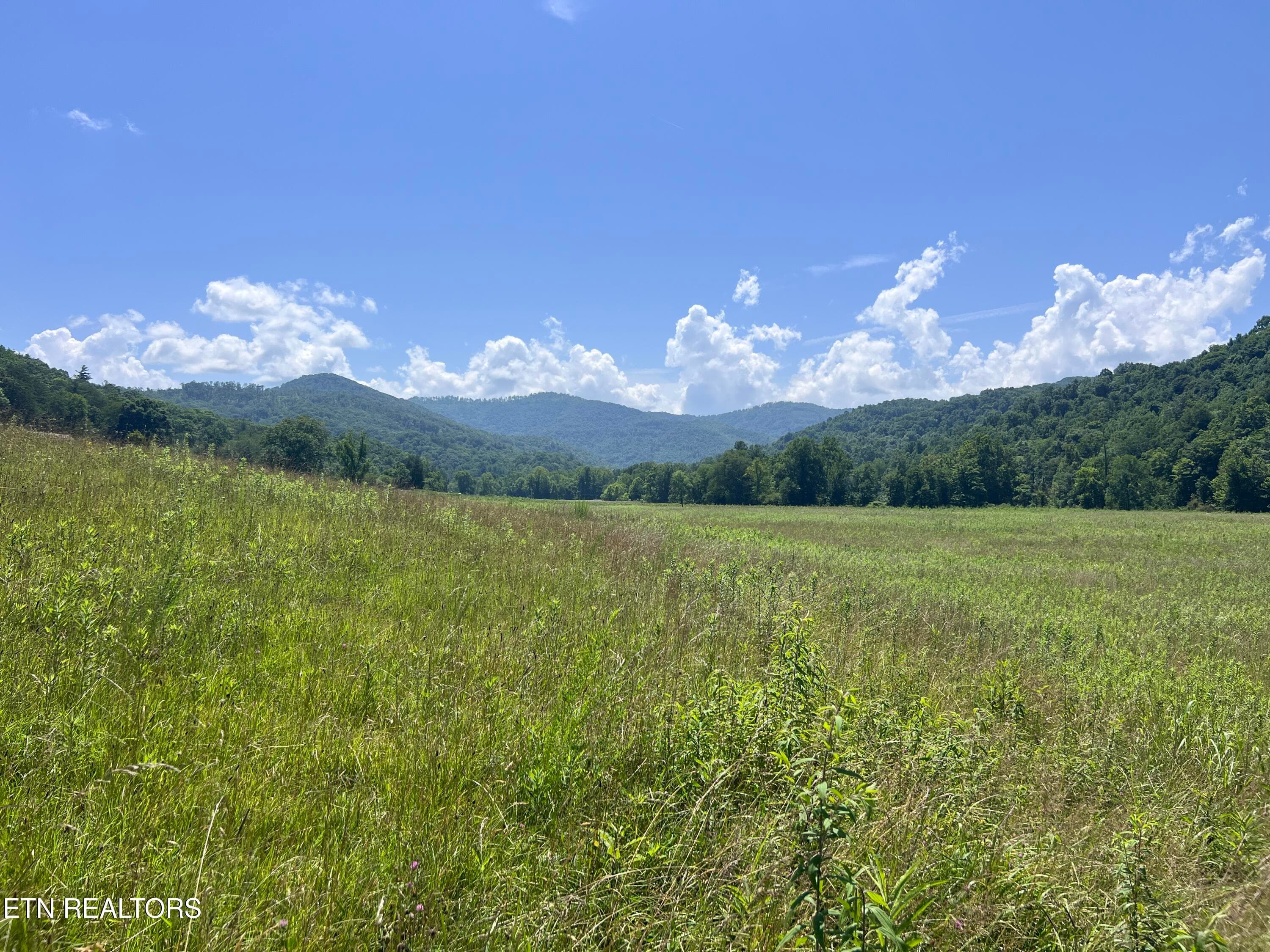 IMG_6265 - 0 Brimstone Rd, Robbins, TN 37852