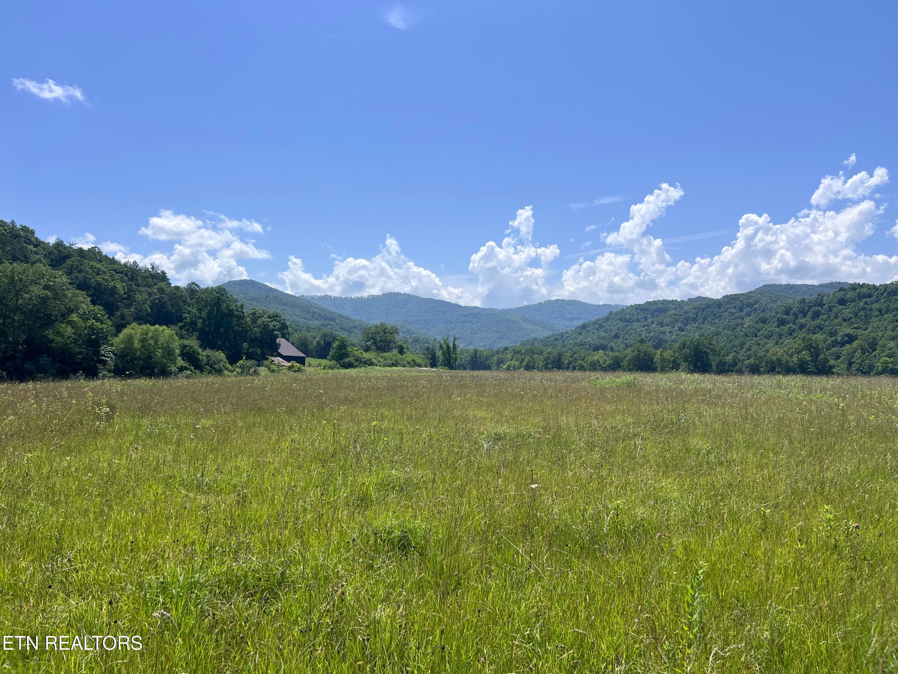 IMG_6264 - 0 Brimstone Rd, Robbins, TN 37852