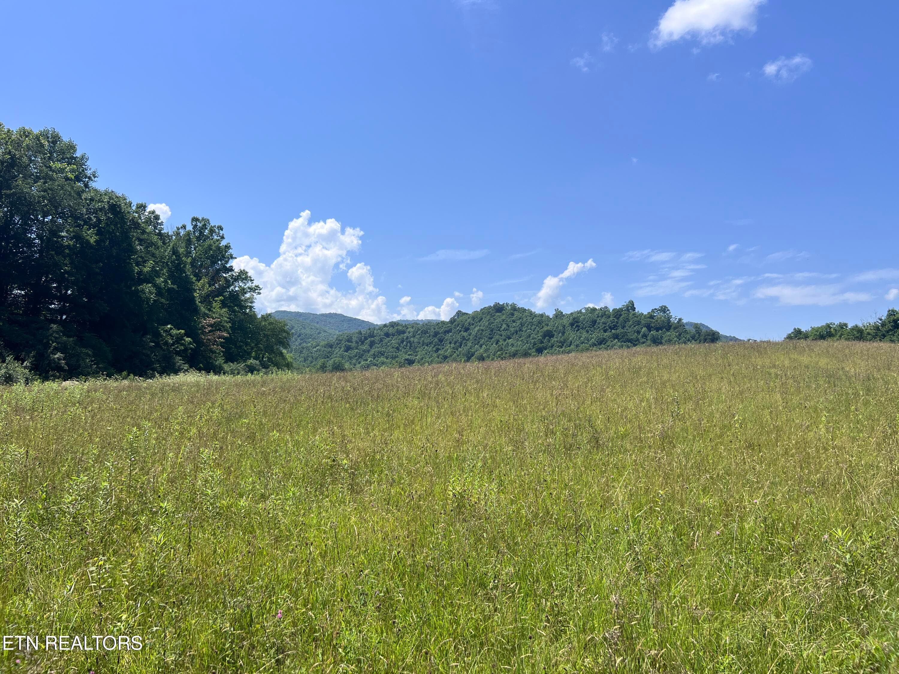 IMG_6263 - 0 Brimstone Rd, Robbins, TN 37852