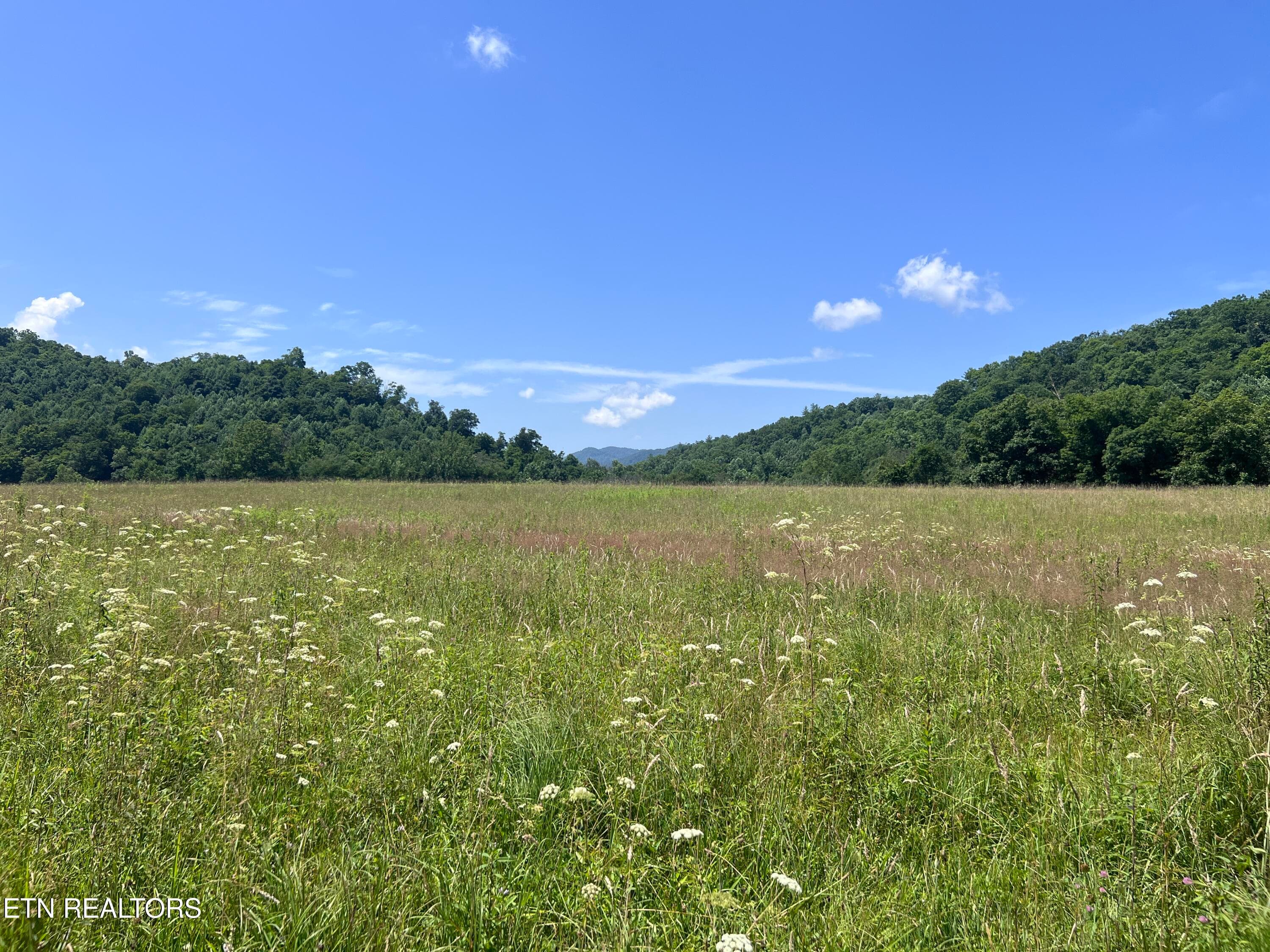 IMG_6262 - 0 Brimstone Rd, Robbins, TN 37852