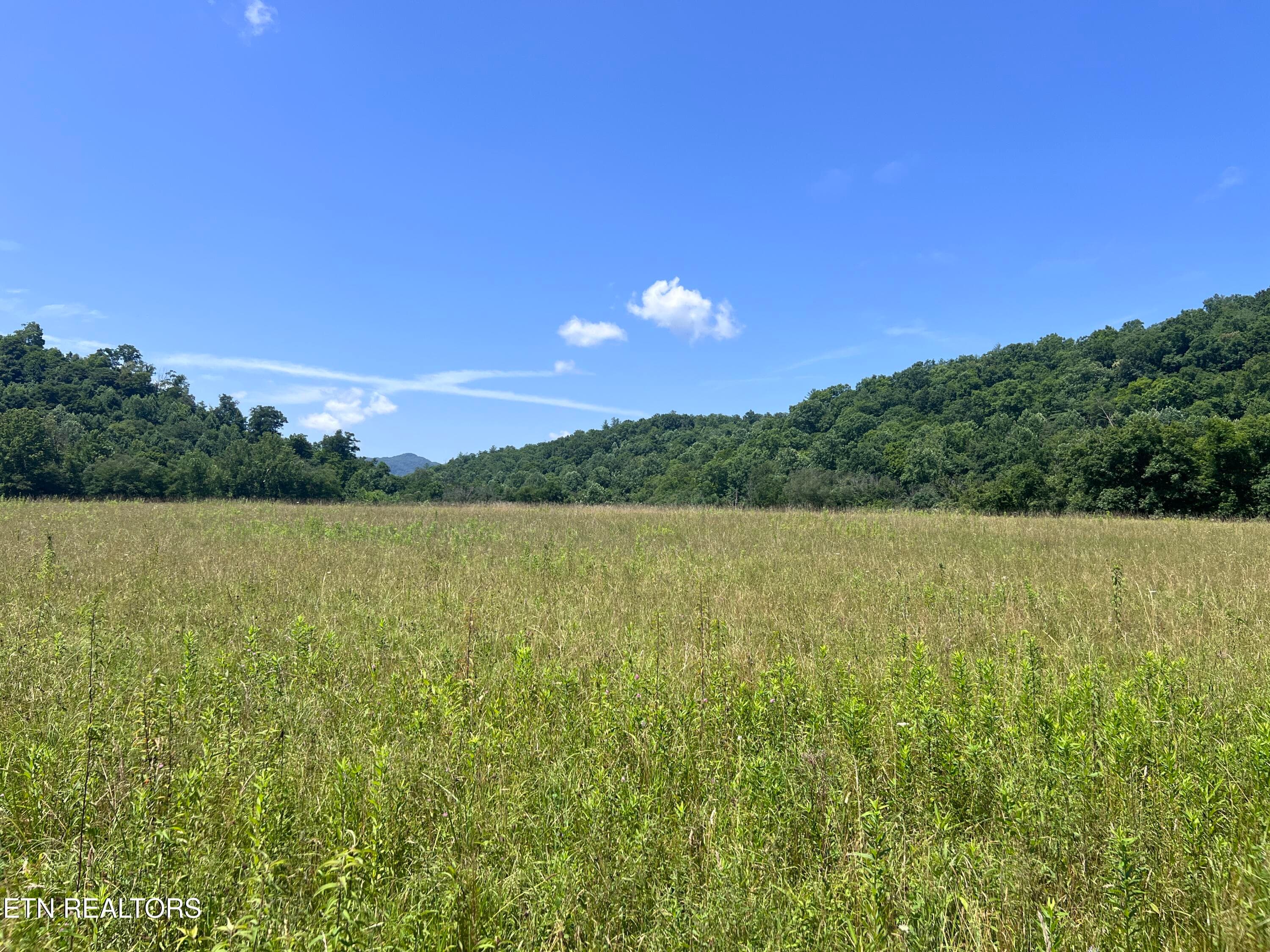 IMG_6261 - 0 Brimstone Rd, Robbins, TN 37852