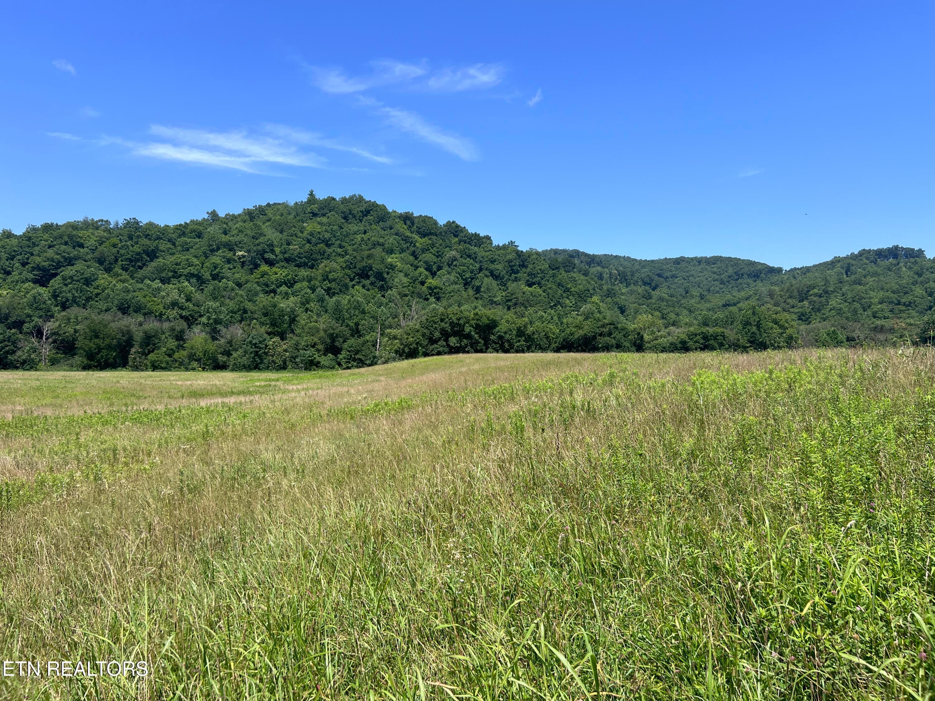 IMG_6260 - 0 Brimstone Rd, Robbins, TN 37852