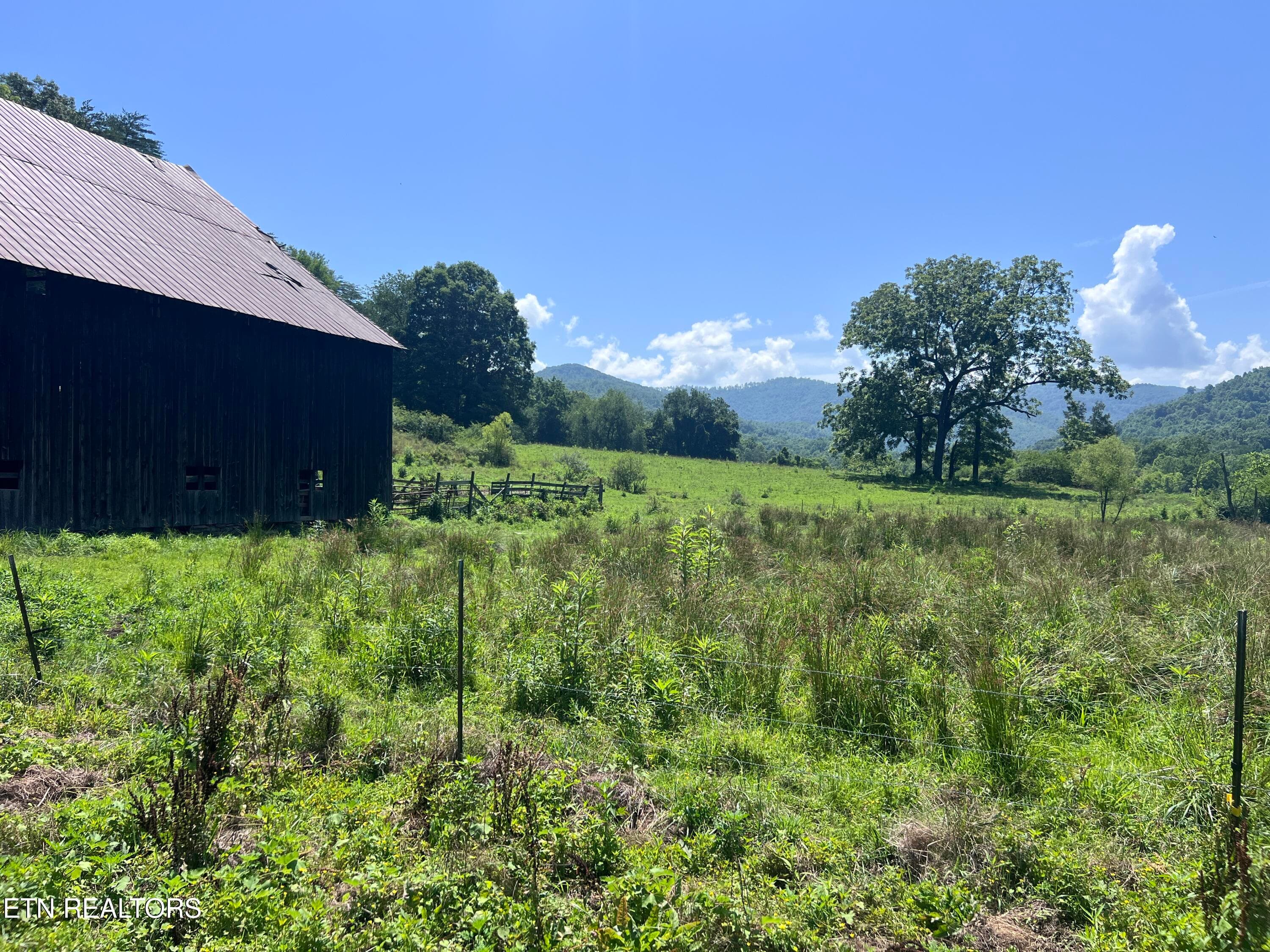 IMG_6257 - 0 Brimstone Rd, Robbins, TN 37852