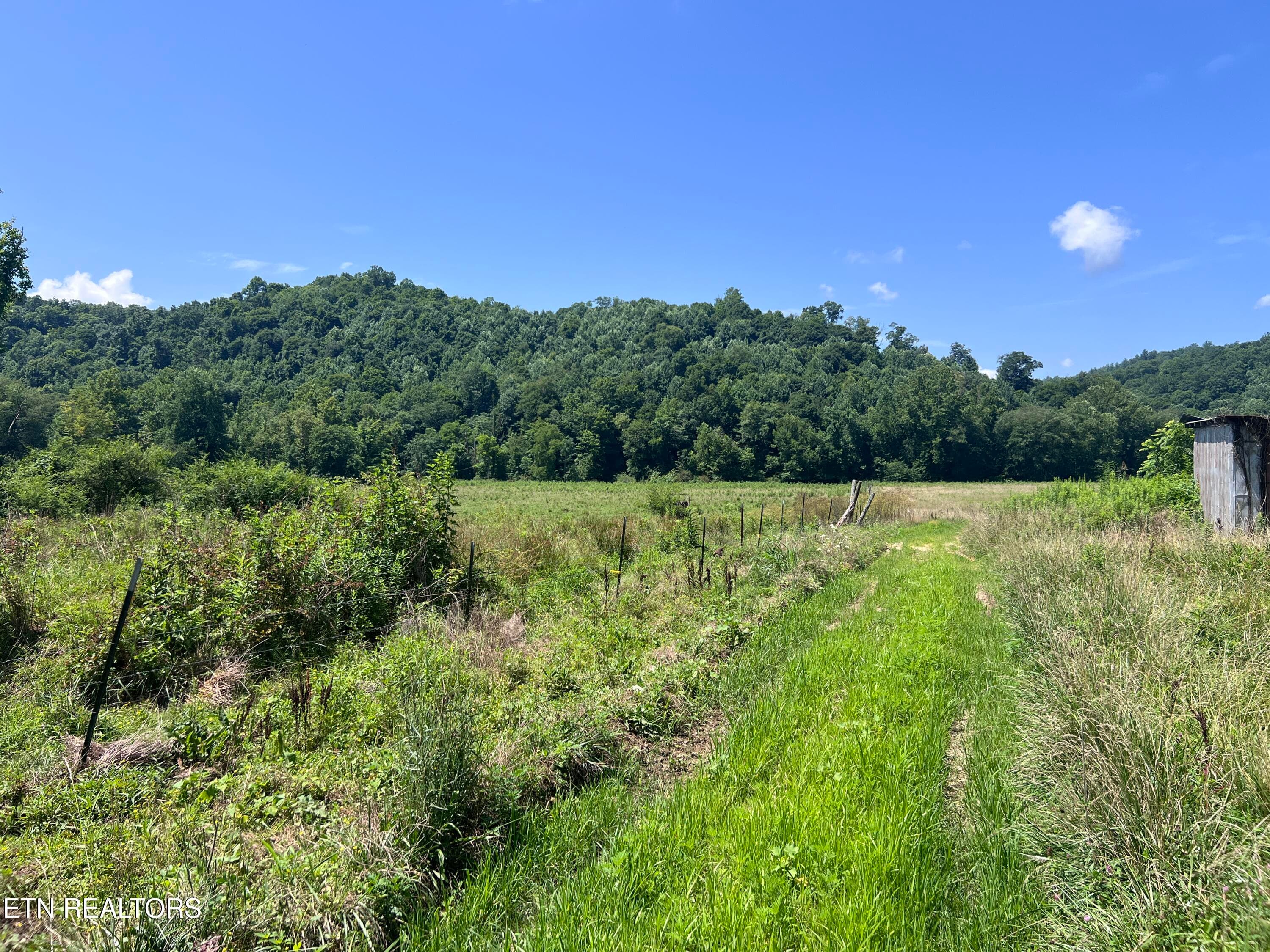 IMG_6256 - 0 Brimstone Rd, Robbins, TN 37852