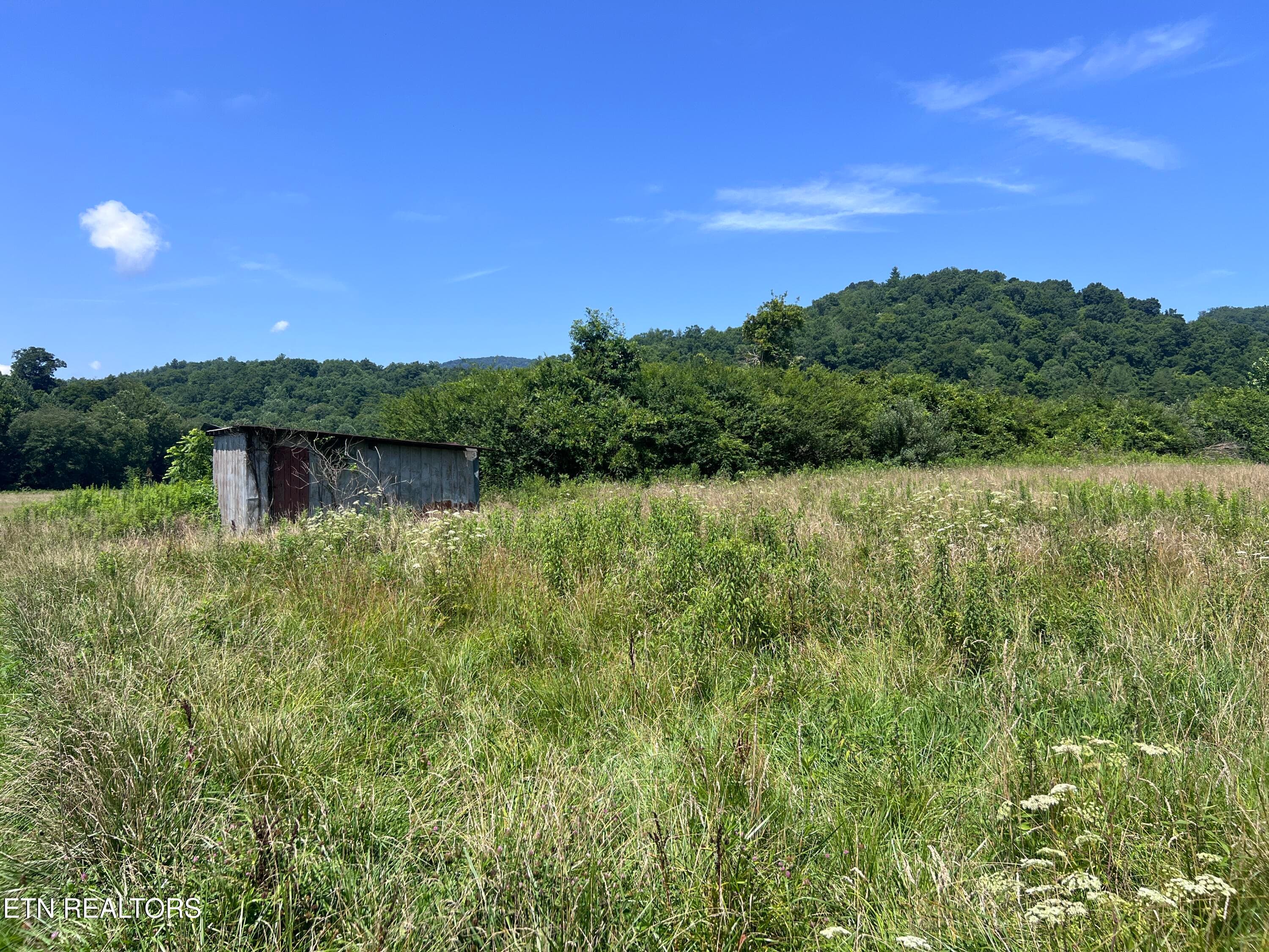 IMG_6255 - 0 Brimstone Rd, Robbins, TN 37852