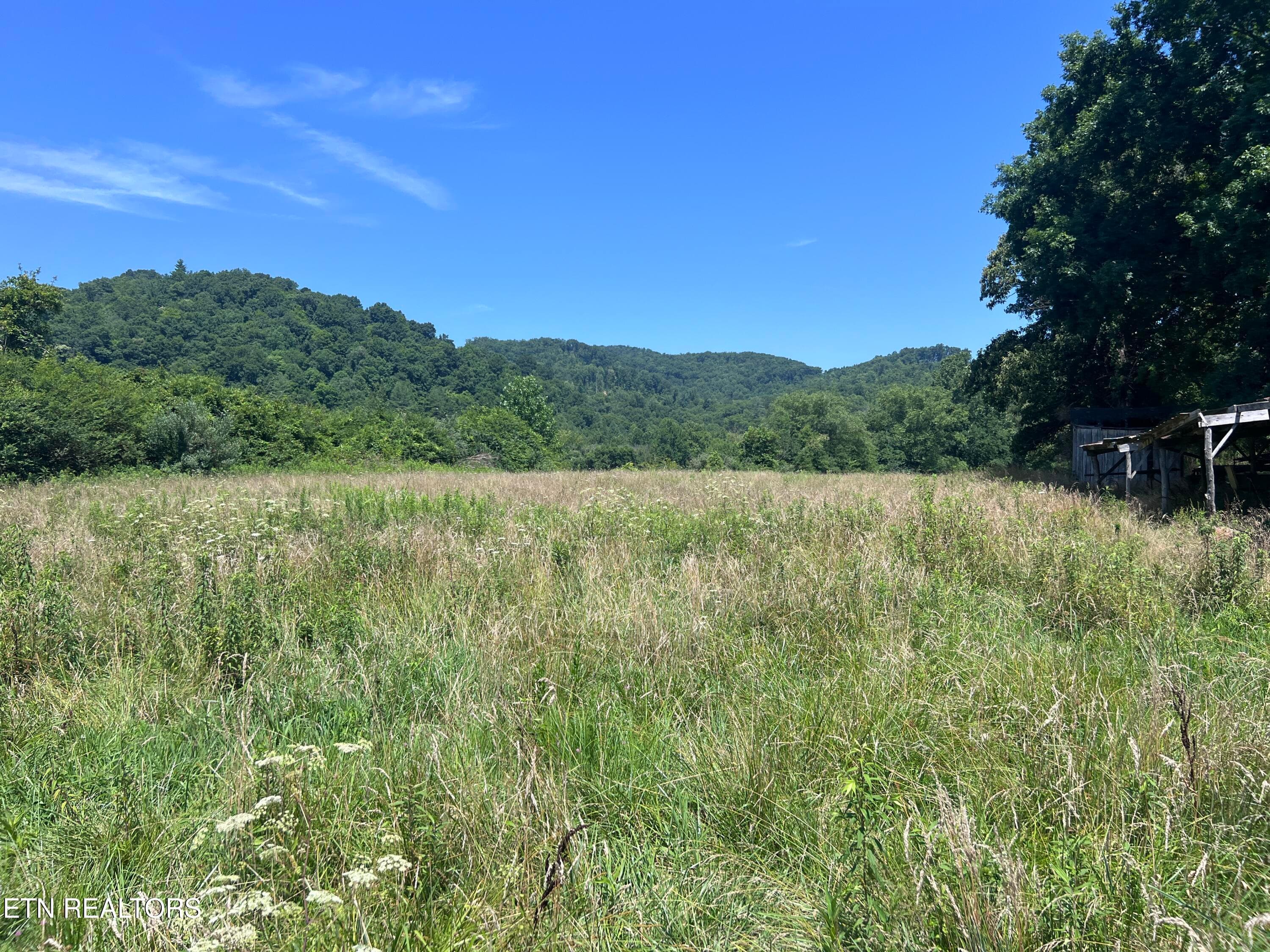 IMG_6254 - 0 Brimstone Rd, Robbins, TN 37852