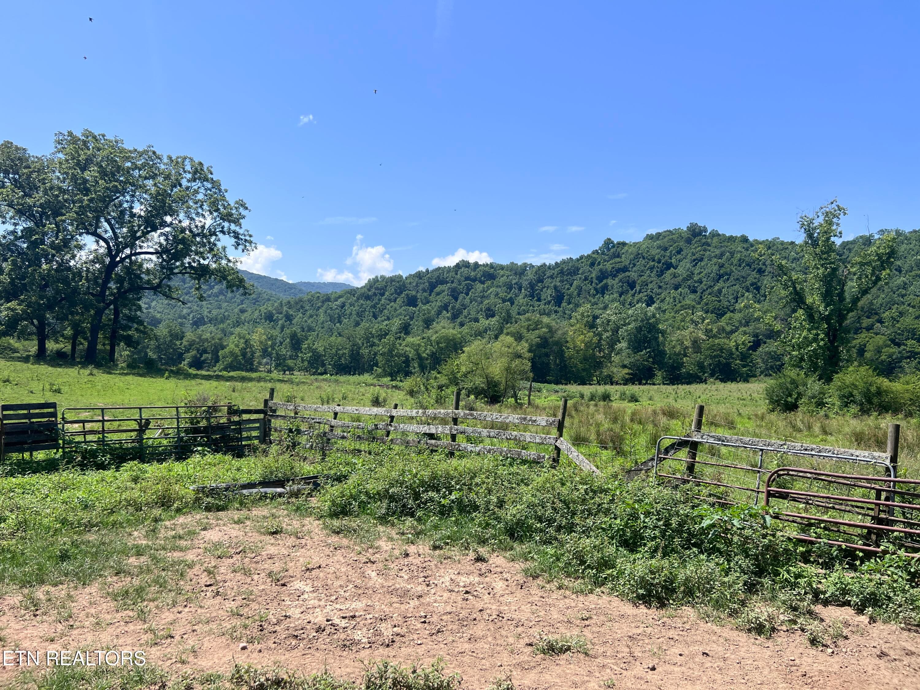 IMG_6247 - 0 Brimstone Rd, Robbins, TN 37852