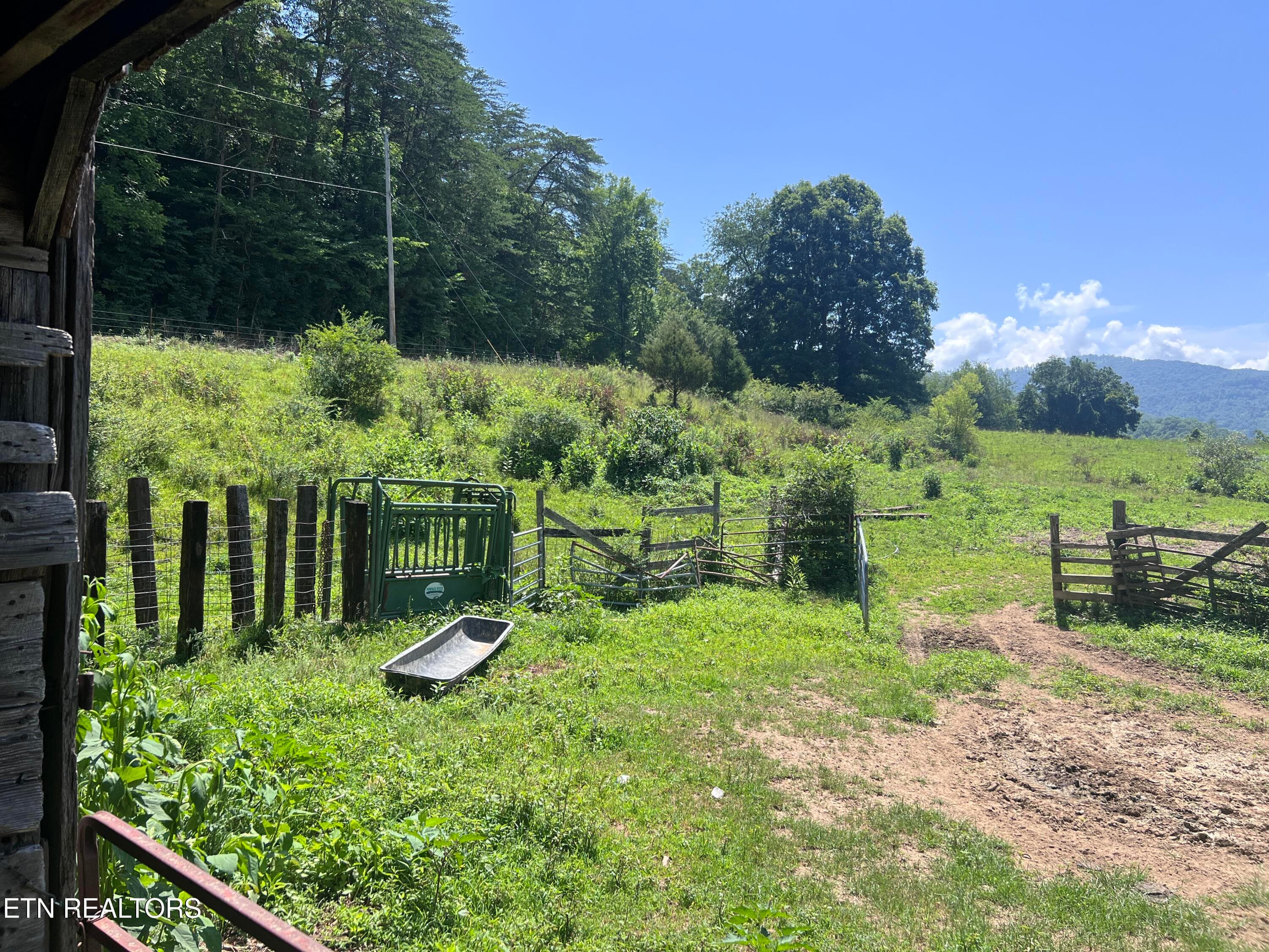 IMG_6246 - 0 Brimstone Rd, Robbins, TN 37852