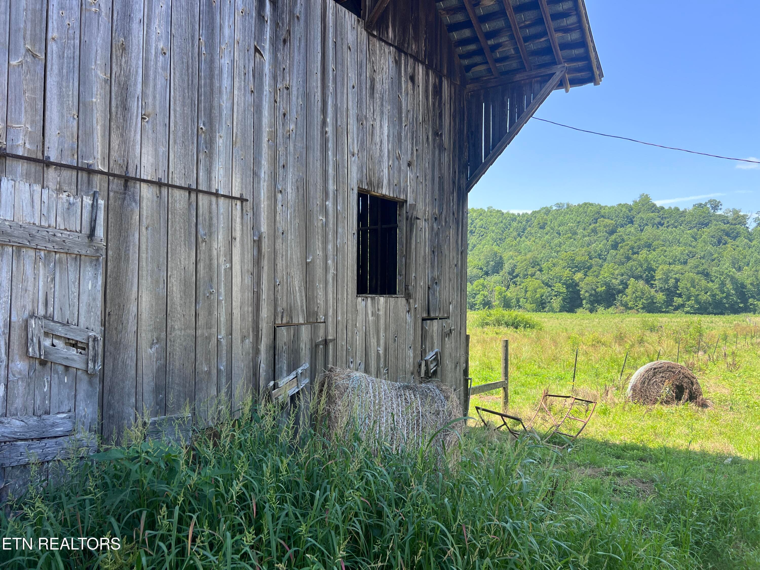 IMG_6244 - 0 Brimstone Rd, Robbins, TN 37852