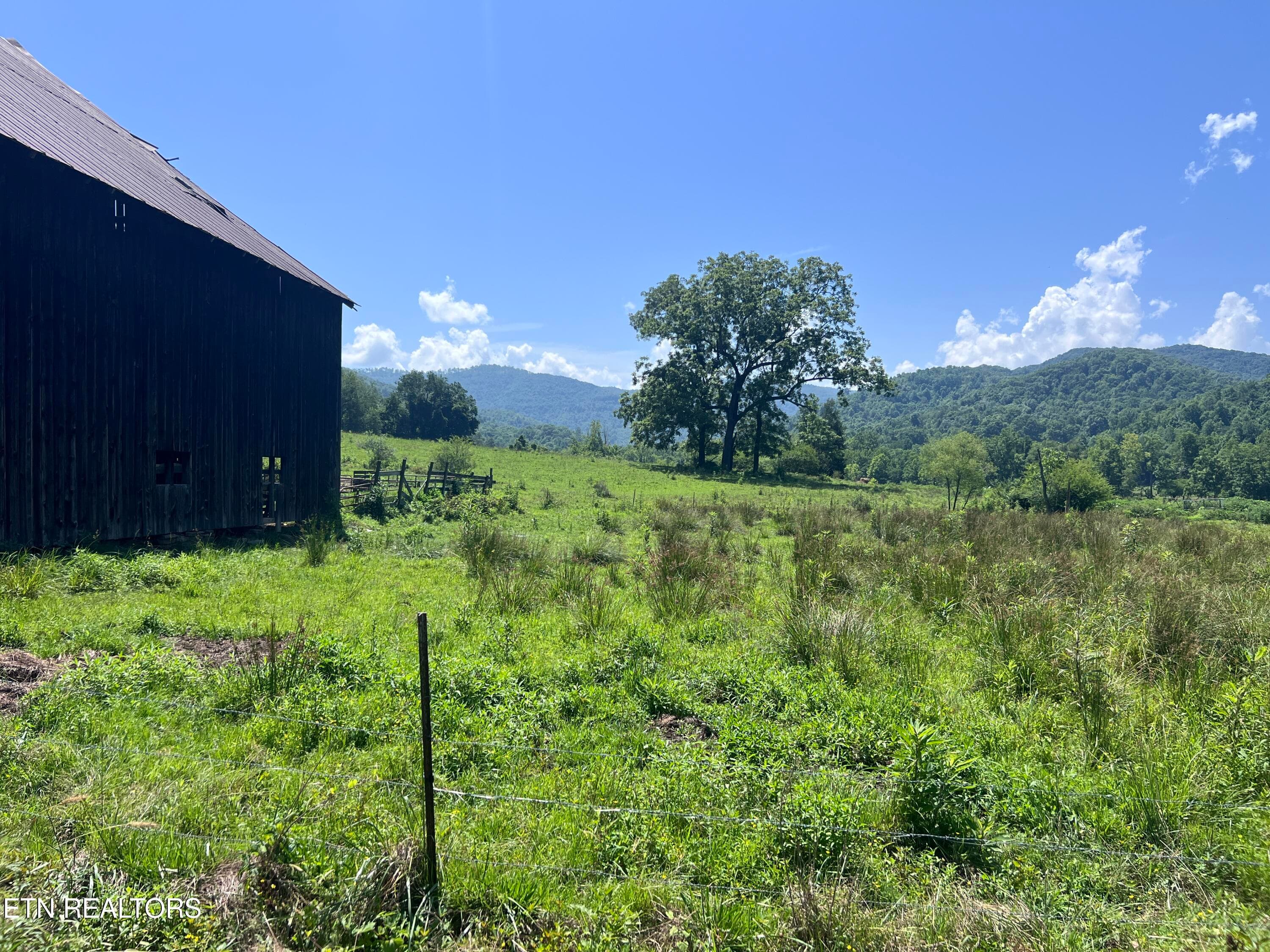 IMG_6240 - 0 Brimstone Rd, Robbins, TN 37852