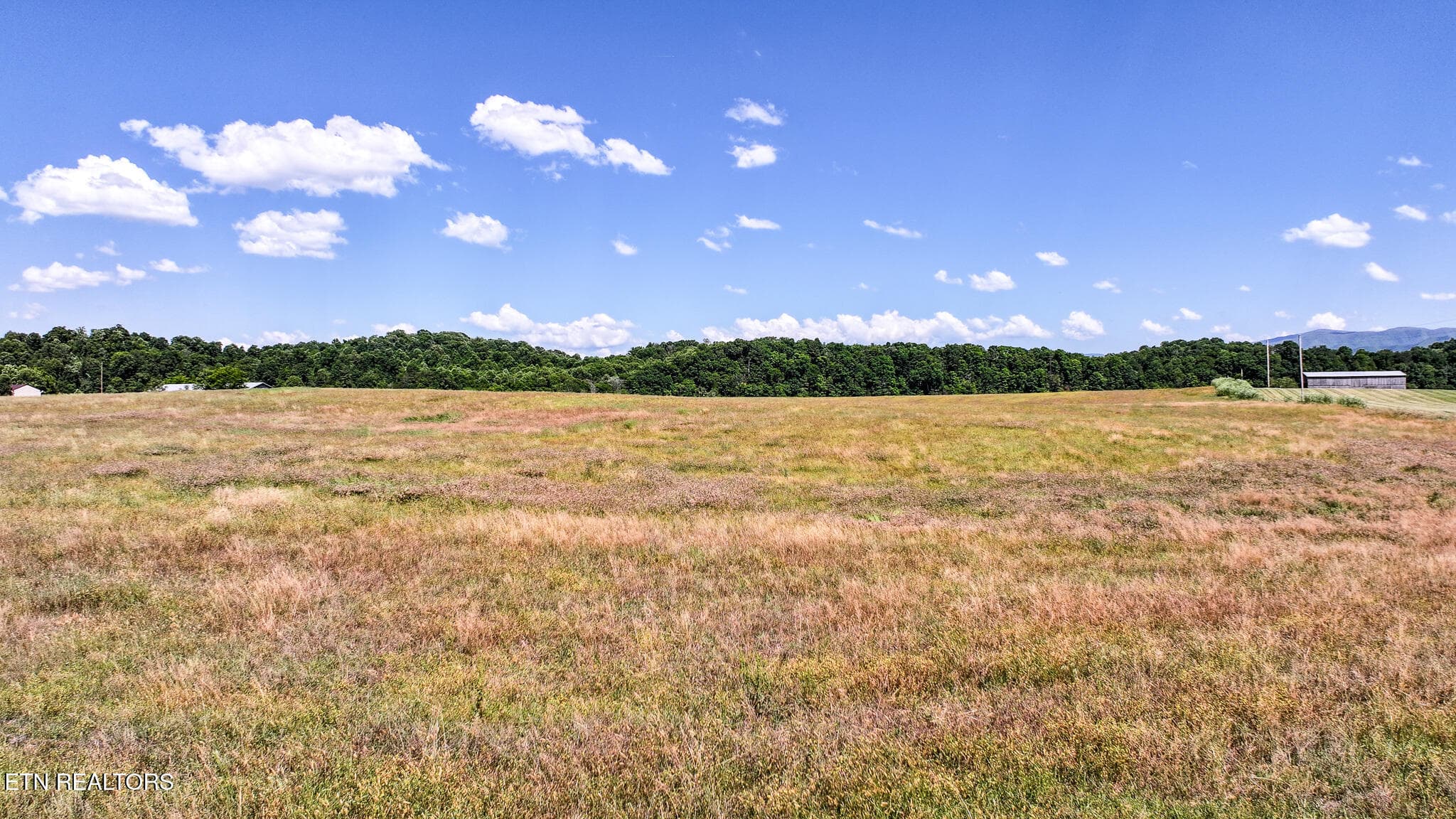 11 - Lot 15 Blackberry Lane, Afton, TN 37616