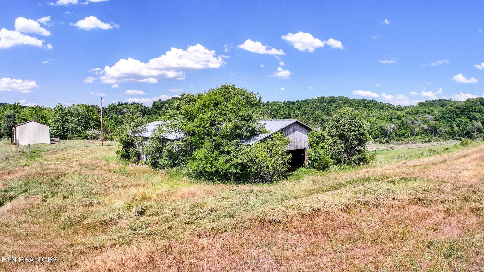 14 - Lot 15 Blackberry Lane, Afton, TN 37616