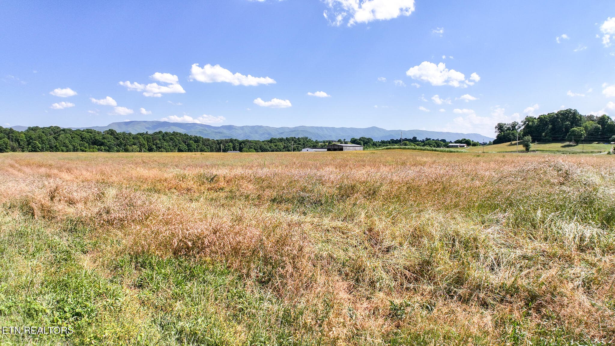 16 - Lot 15 Blackberry Lane, Afton, TN 37616