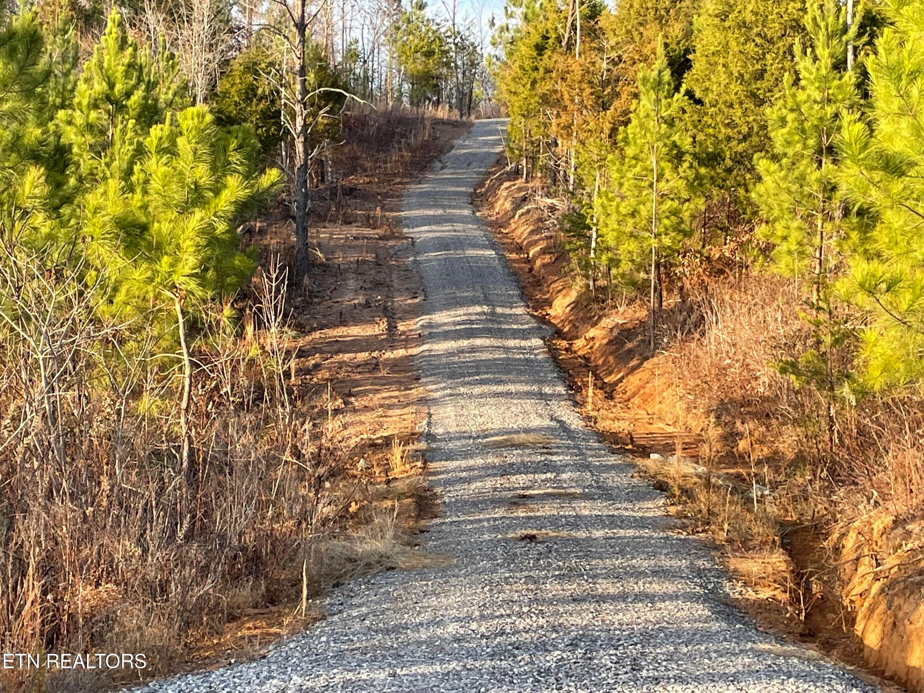 IMG_3677 - Vista Drive, Vonore, TN 37885