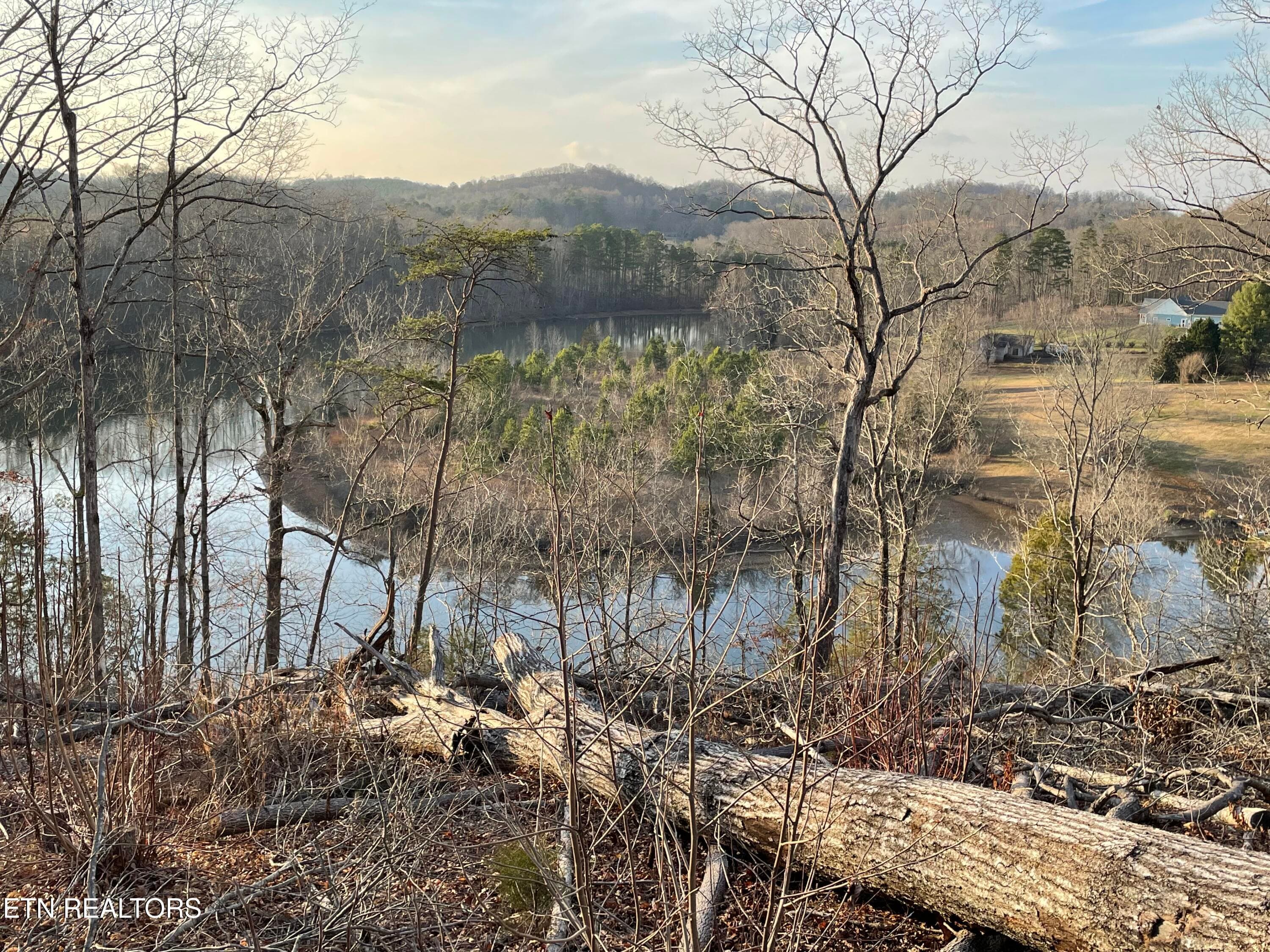 IMG_3713 - Vista Drive, Vonore, TN 37885