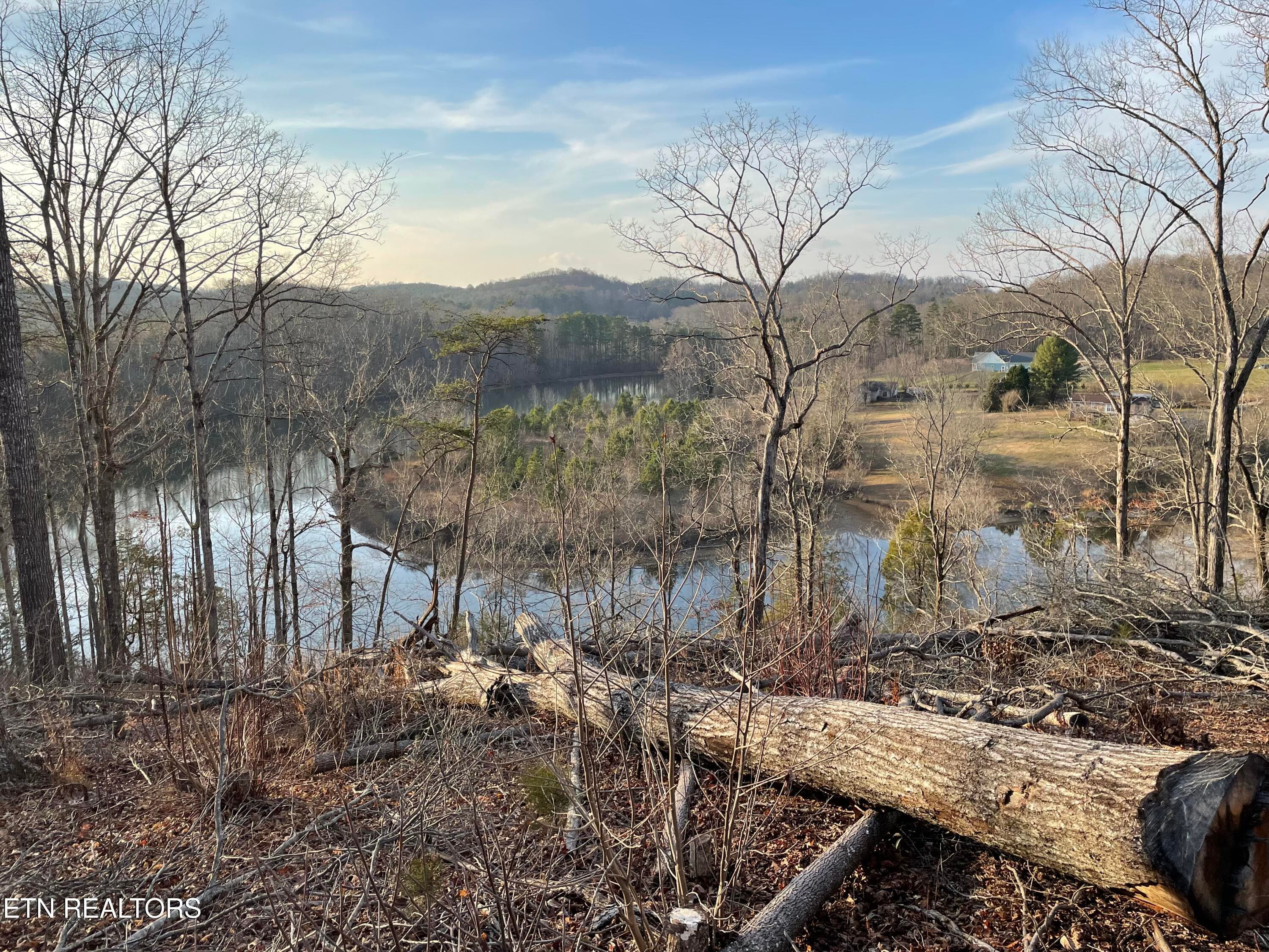 IMG_3705 - Vista Drive, Vonore, TN 37885
