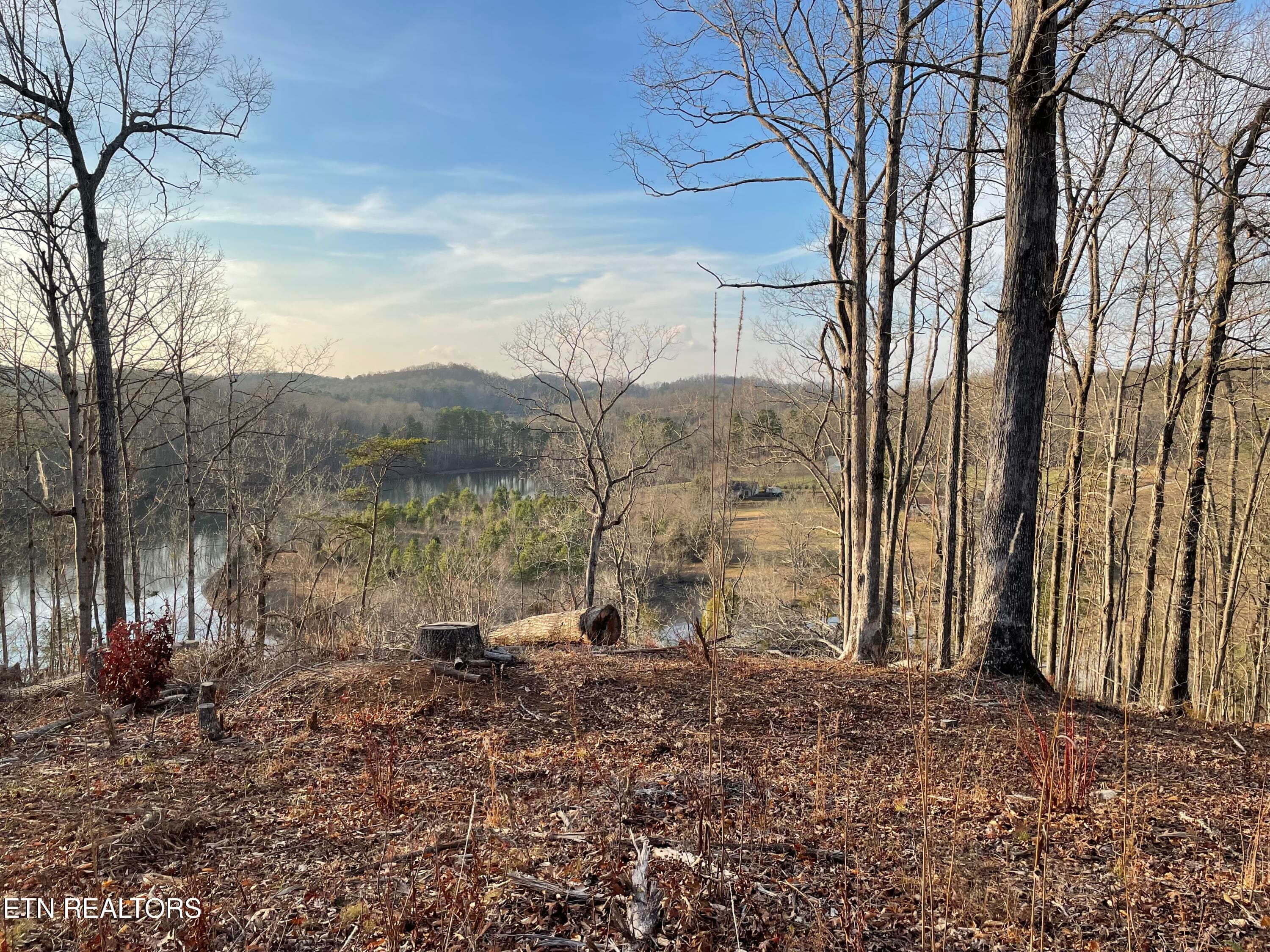 IMG_3699 - Vista Drive, Vonore, TN 37885