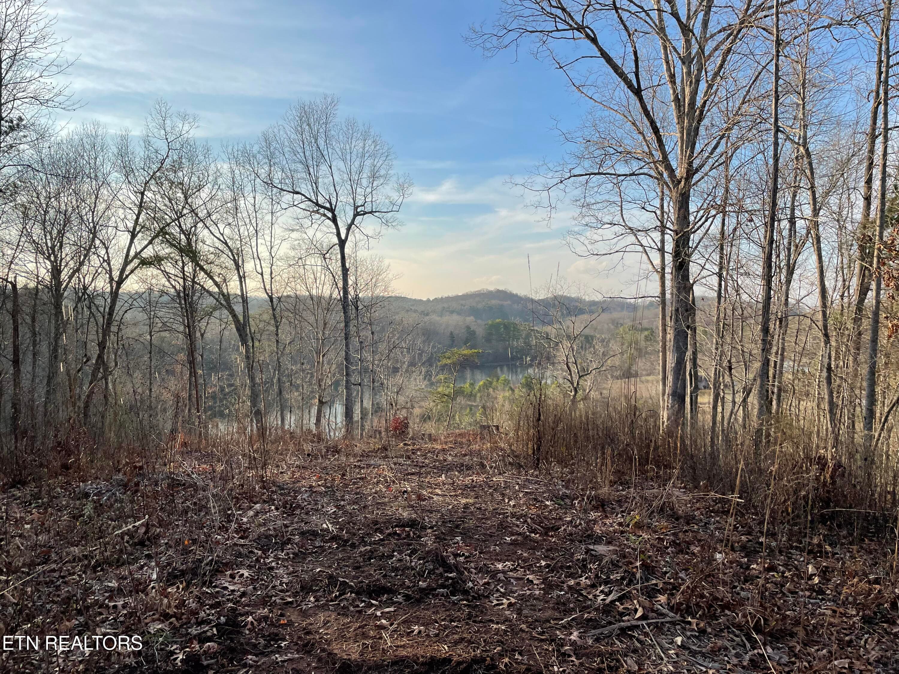 IMG_3693 - Vista Drive, Vonore, TN 37885