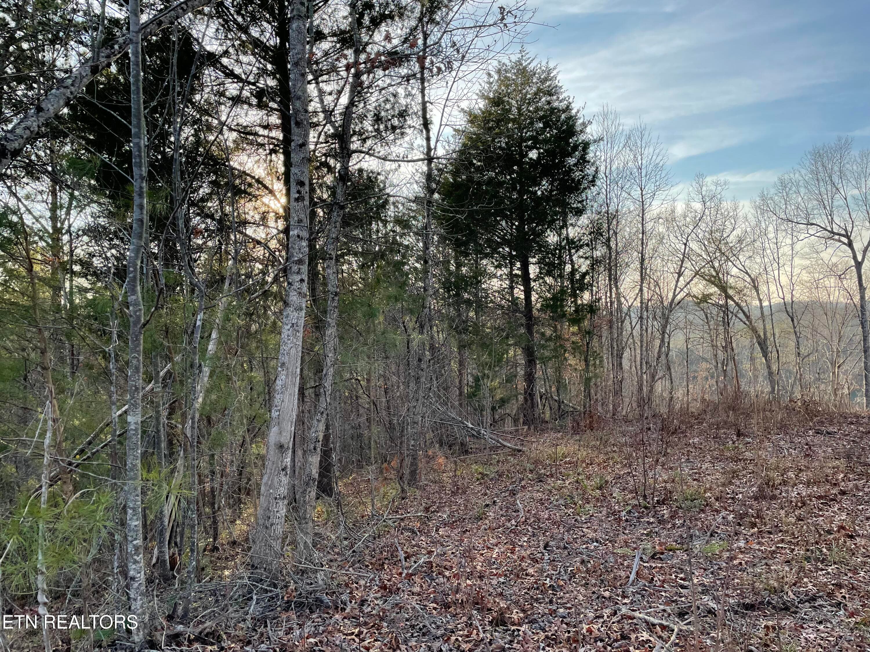 IMG_3691 - Vista Drive, Vonore, TN 37885