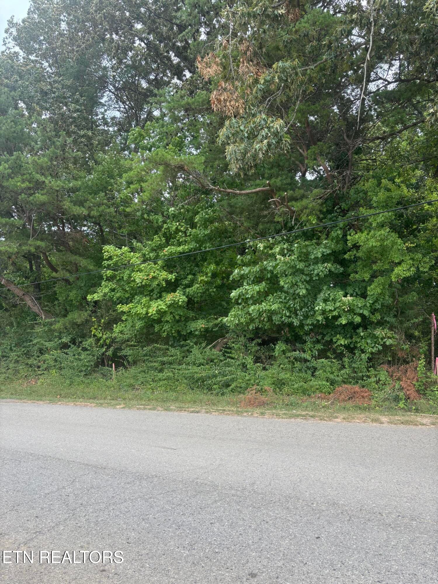 IMG_1205 - 107 Long Powers Rd, Friendsville, TN 37737