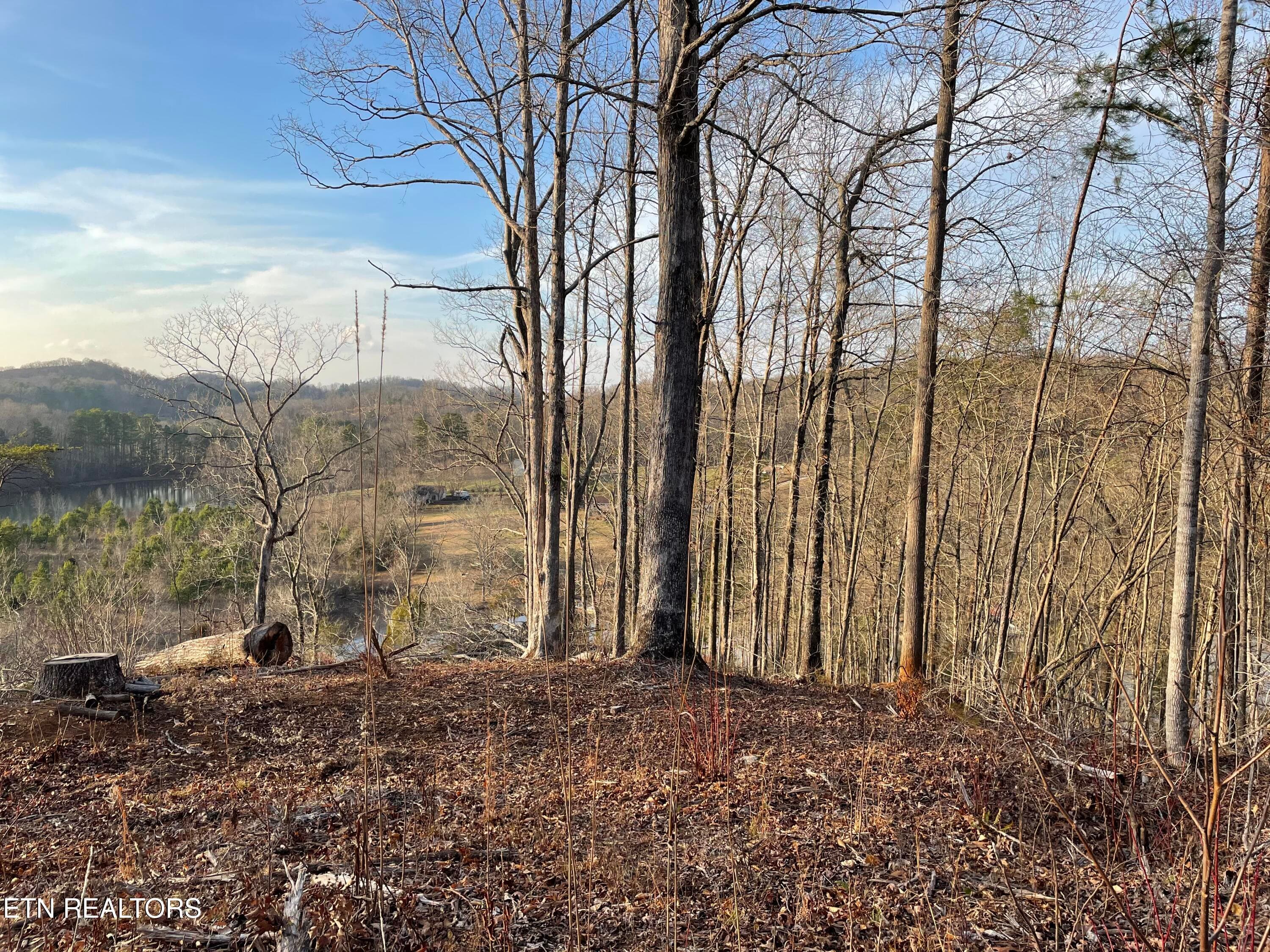IMG_3698 - Vista Drive, Vonore, TN 37885