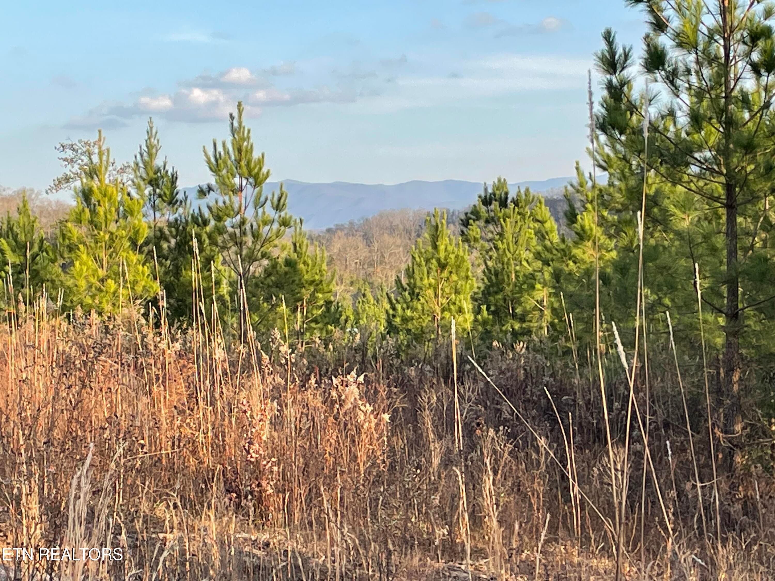IMG_3717 - Vista Drive, Vonore, TN 37885