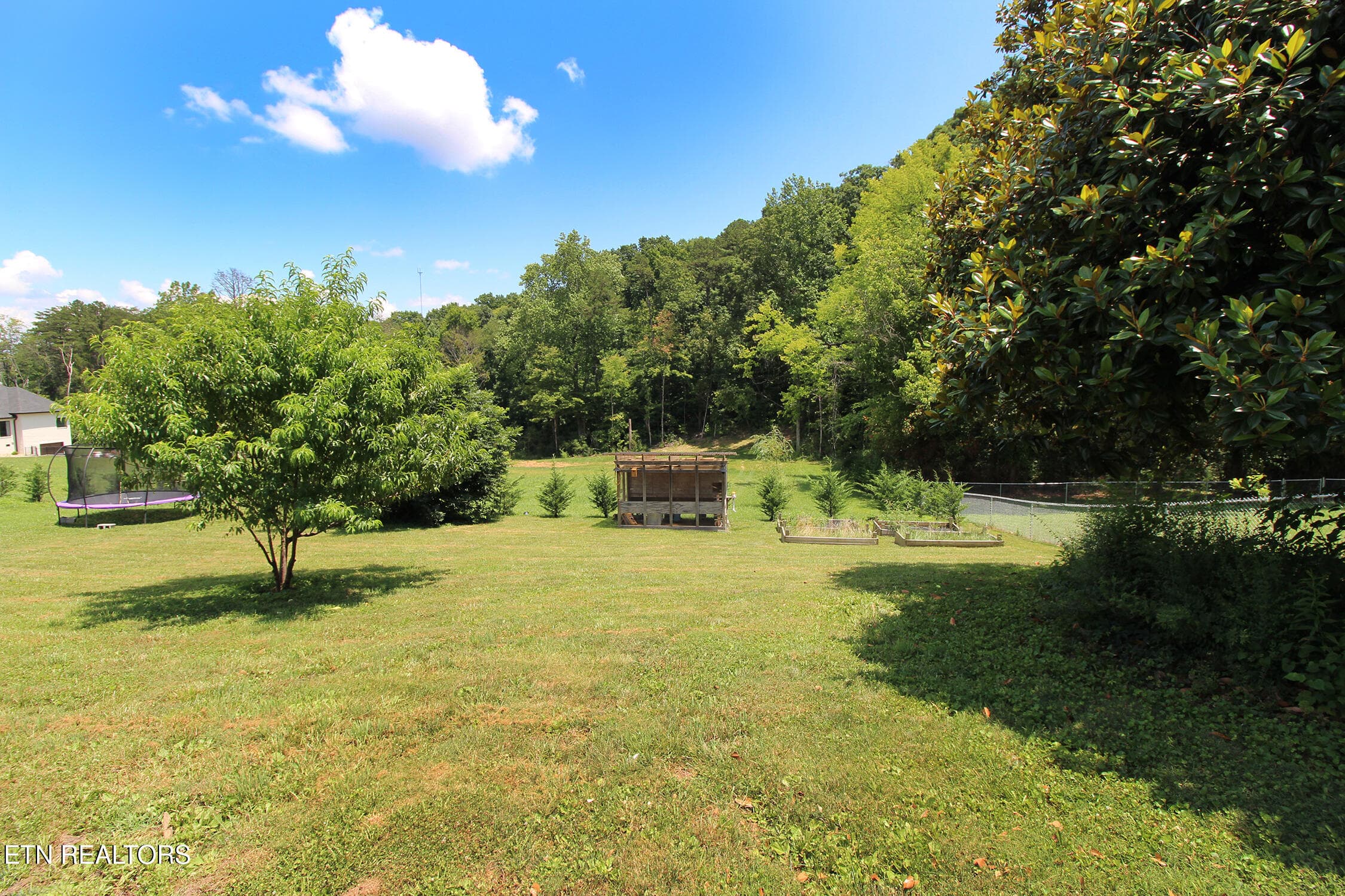 Backyard - 3718 Cherrylog Rd, Knoxville, TN 37921