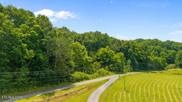 IMG_5766 - 1913 Dry Fork Valley Rd, Philadelphia, TN 37846