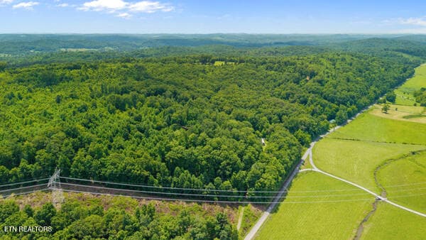 IMG_5765 - 1913 Dry Fork Valley Rd, Philadelphia, TN 37846