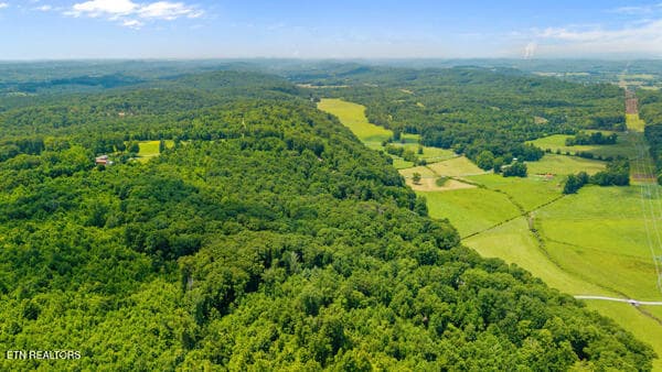 IMG_5763 - 1913 Dry Fork Valley Rd, Philadelphia, TN 37846