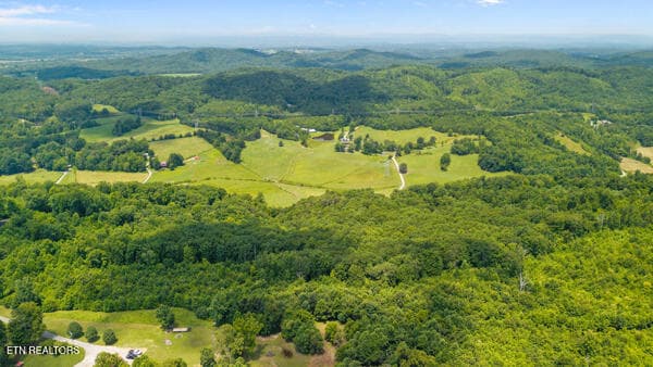 IMG_5762 - 1913 Dry Fork Valley Rd, Philadelphia, TN 37846