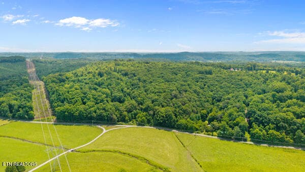 IMG_5760 - 1913 Dry Fork Valley Rd, Philadelphia, TN 37846