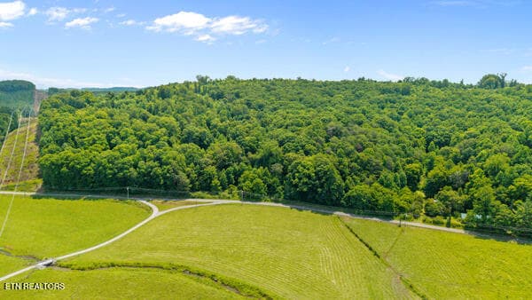 IMG_5758 - 1913 Dry Fork Valley Rd, Philadelphia, TN 37846