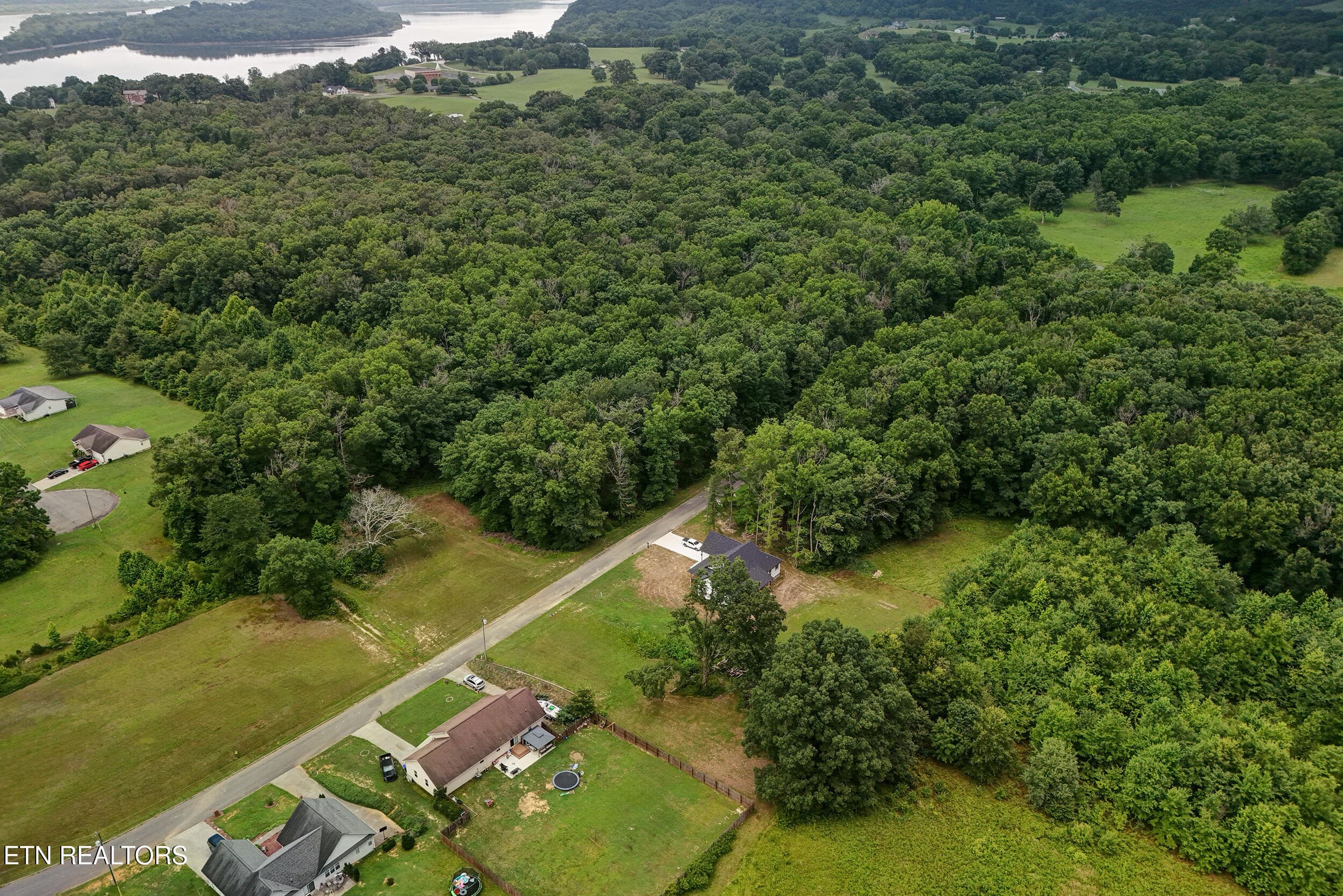 Aerial View - 1050 Rachel Drive, White Pine, TN 37890, White Pine