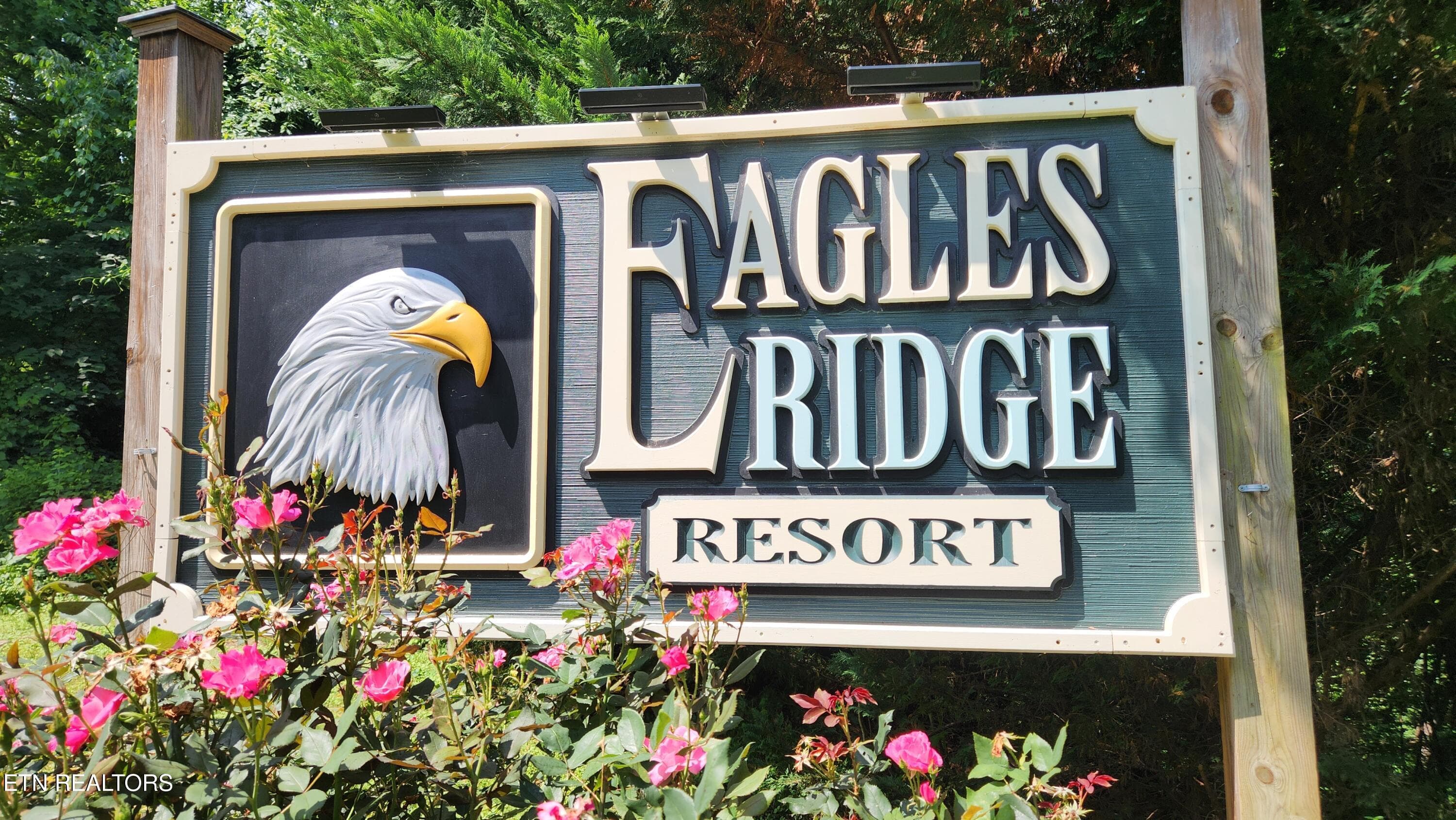 20260611_113925 - 713 Golden Eagle Way 223, Pigeon Forge, TN 37863, Pigeon Forge