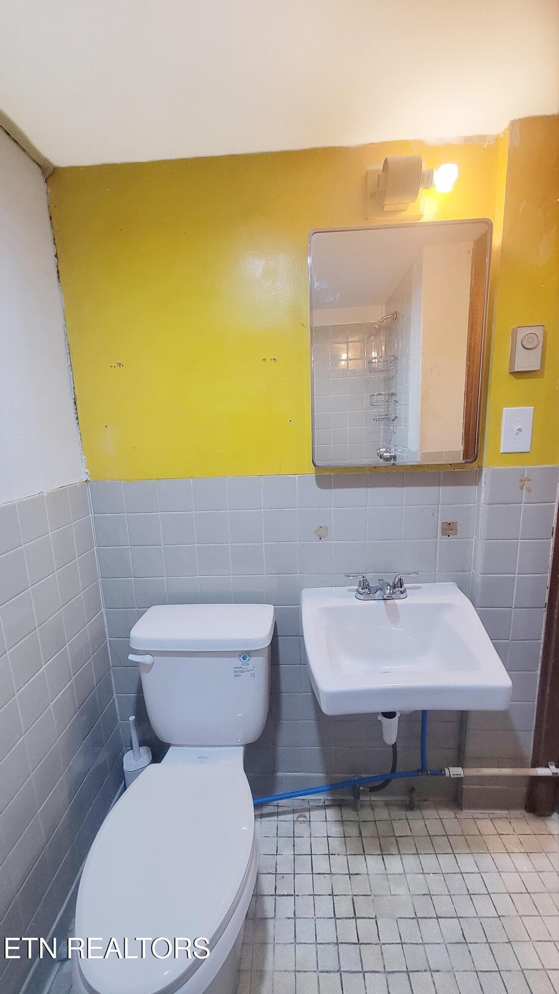 BASEMENT VANITY - 5501 Kenbrook Lane, Knoxville, TN 37921, Knoxville