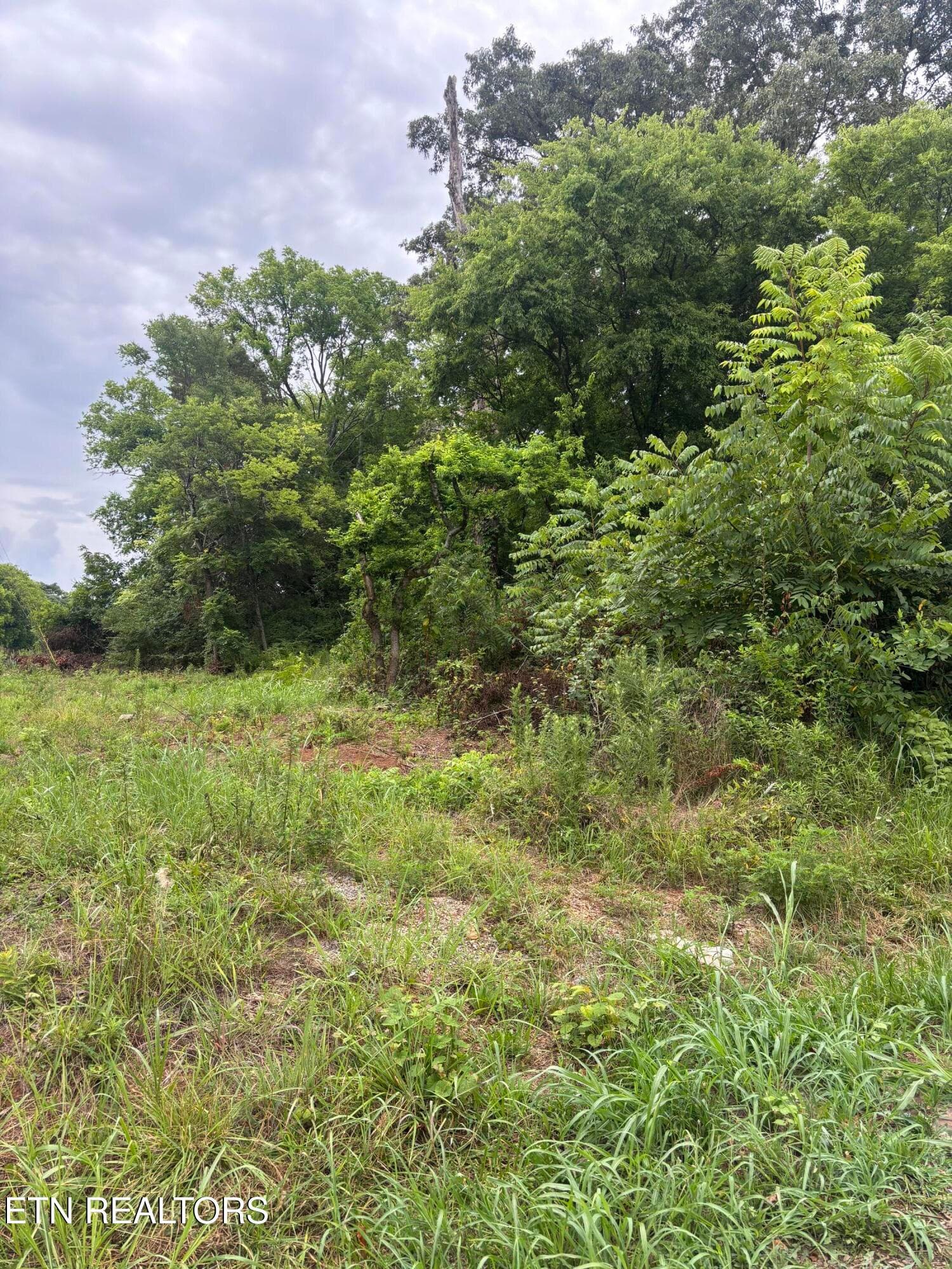 IMG_1222 - 107 Long Powers Rd, Friendsville, TN 37737