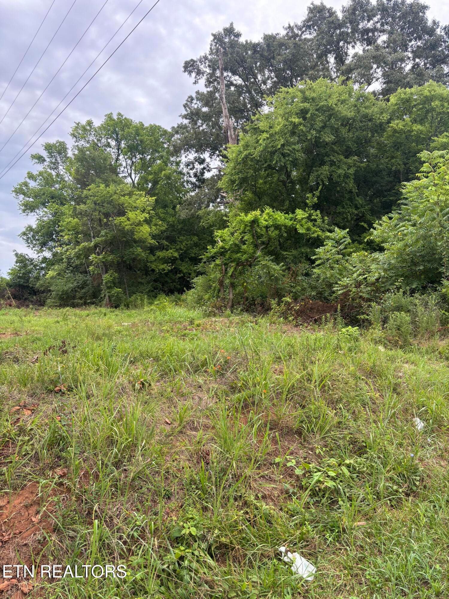 IMG_1221 - 107 Long Powers Rd, Friendsville, TN 37737