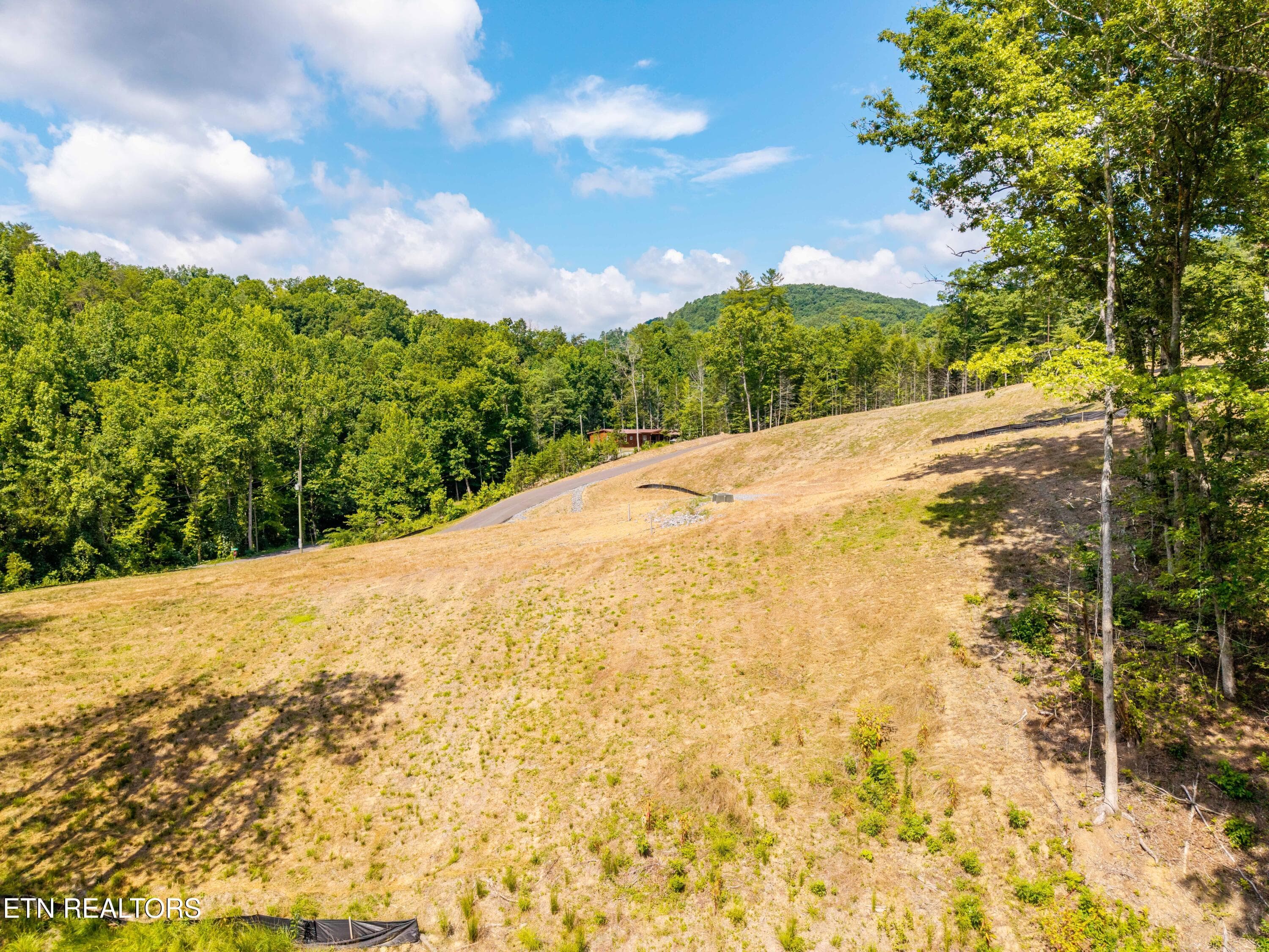 FranklinGrove-102 - Waldens Creek Rd, Sevierville, TN 37862