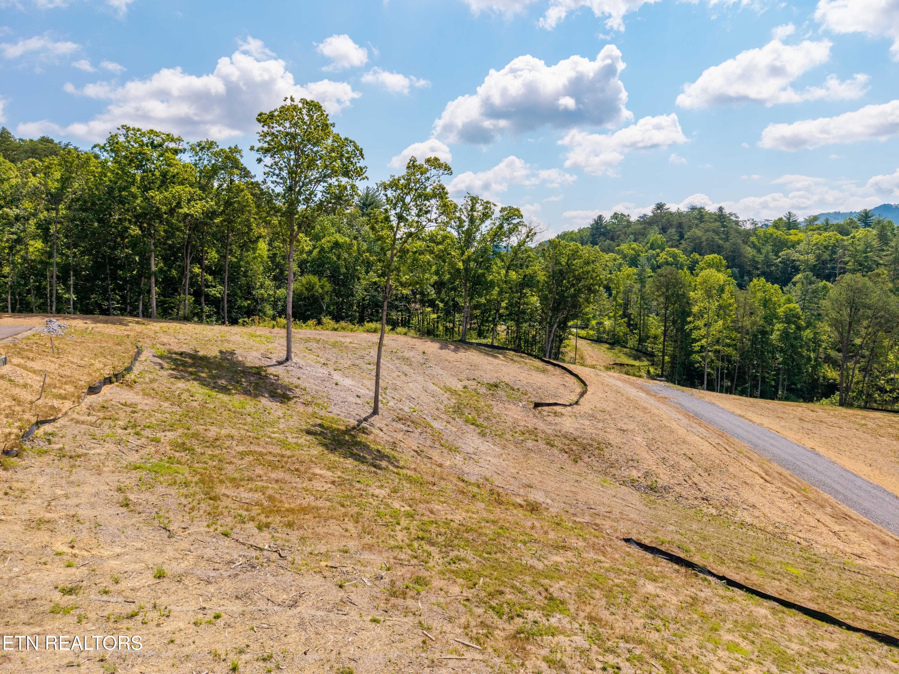FranklinGrove-109 - Waldens Creek Rd, Sevierville, TN 37862