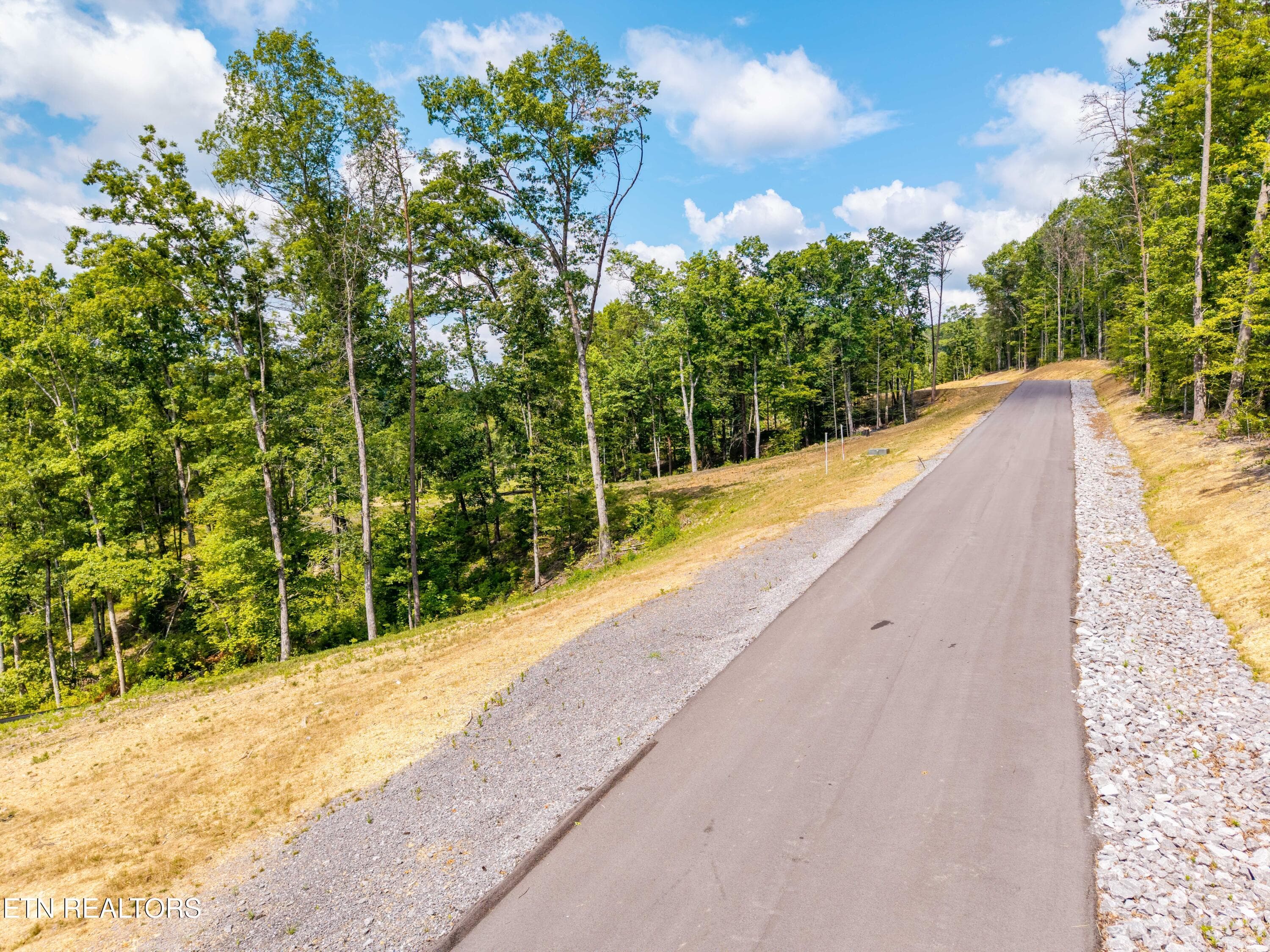 FranklinGrove-119 - Waldens Creek Rd, Sevierville, TN 37862