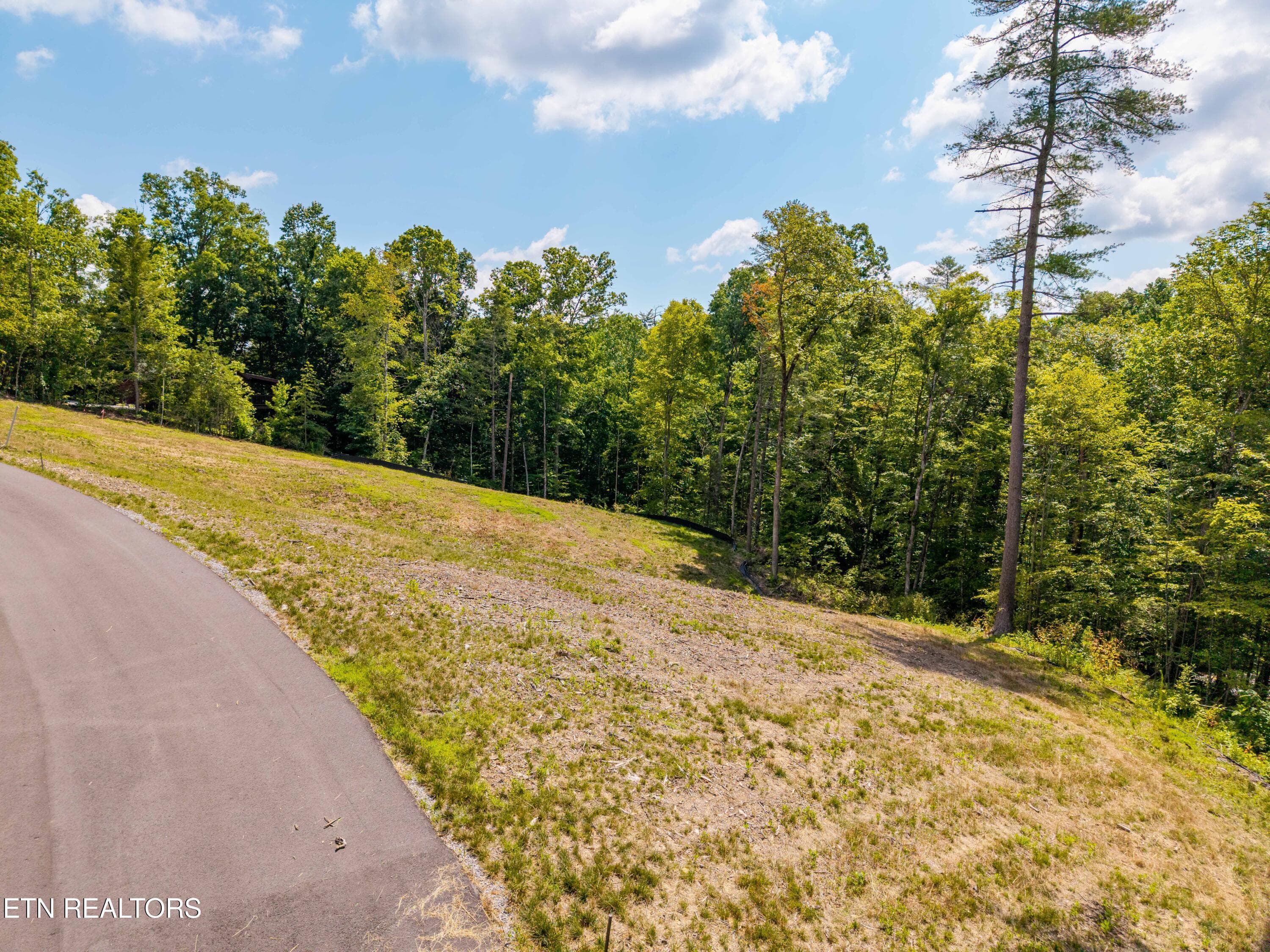 FranklinGrove-143 - Waldens Creek Rd, Sevierville, TN 37862