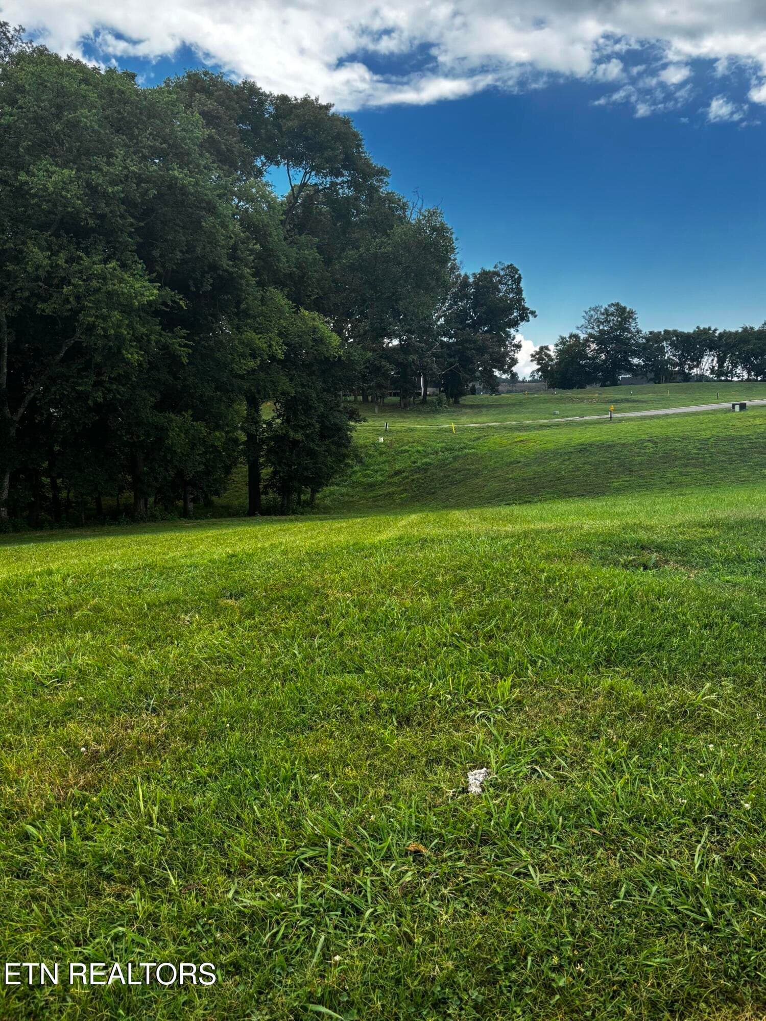 3964 Persimmon Ridge, Loudon, TN 37774