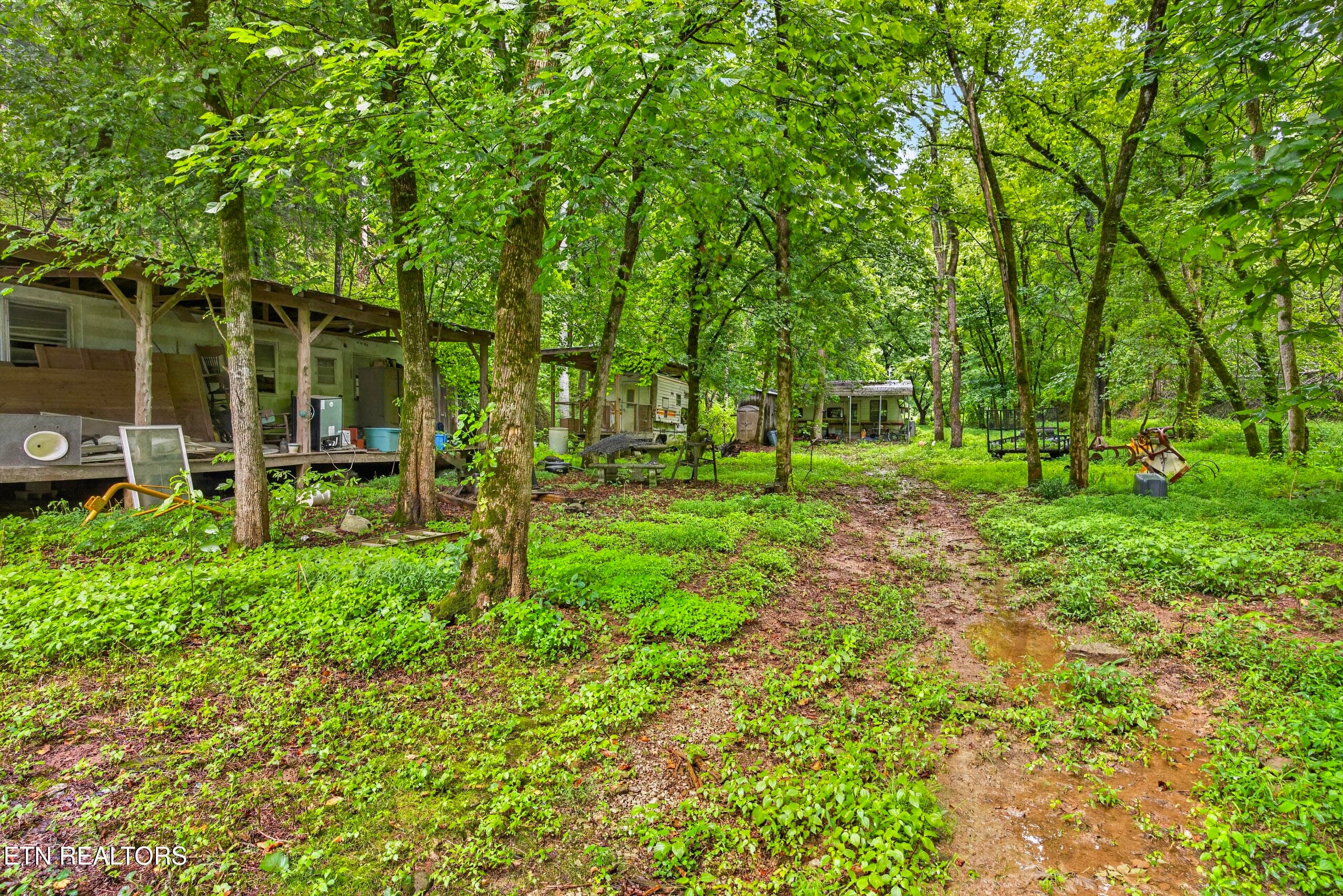 8-8N5A7348 - 339 Wheeler Town Lane, Bloomington Springs, TN 38545