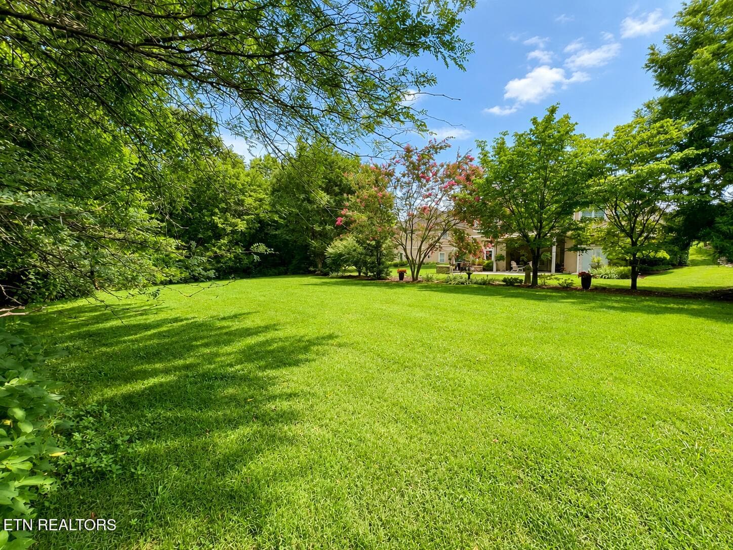 Exterior Backyard - 137 Heron Court, Vonore, TN 37885