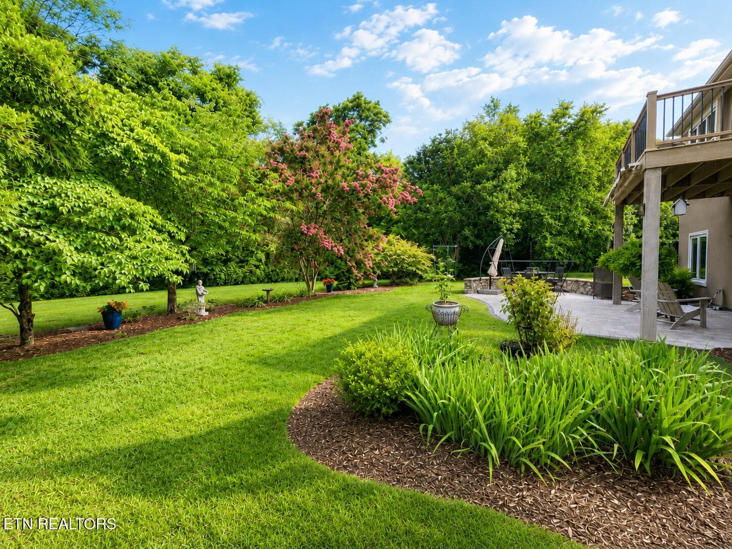 Exterior Backyard - 137 Heron Court, Vonore, TN 37885